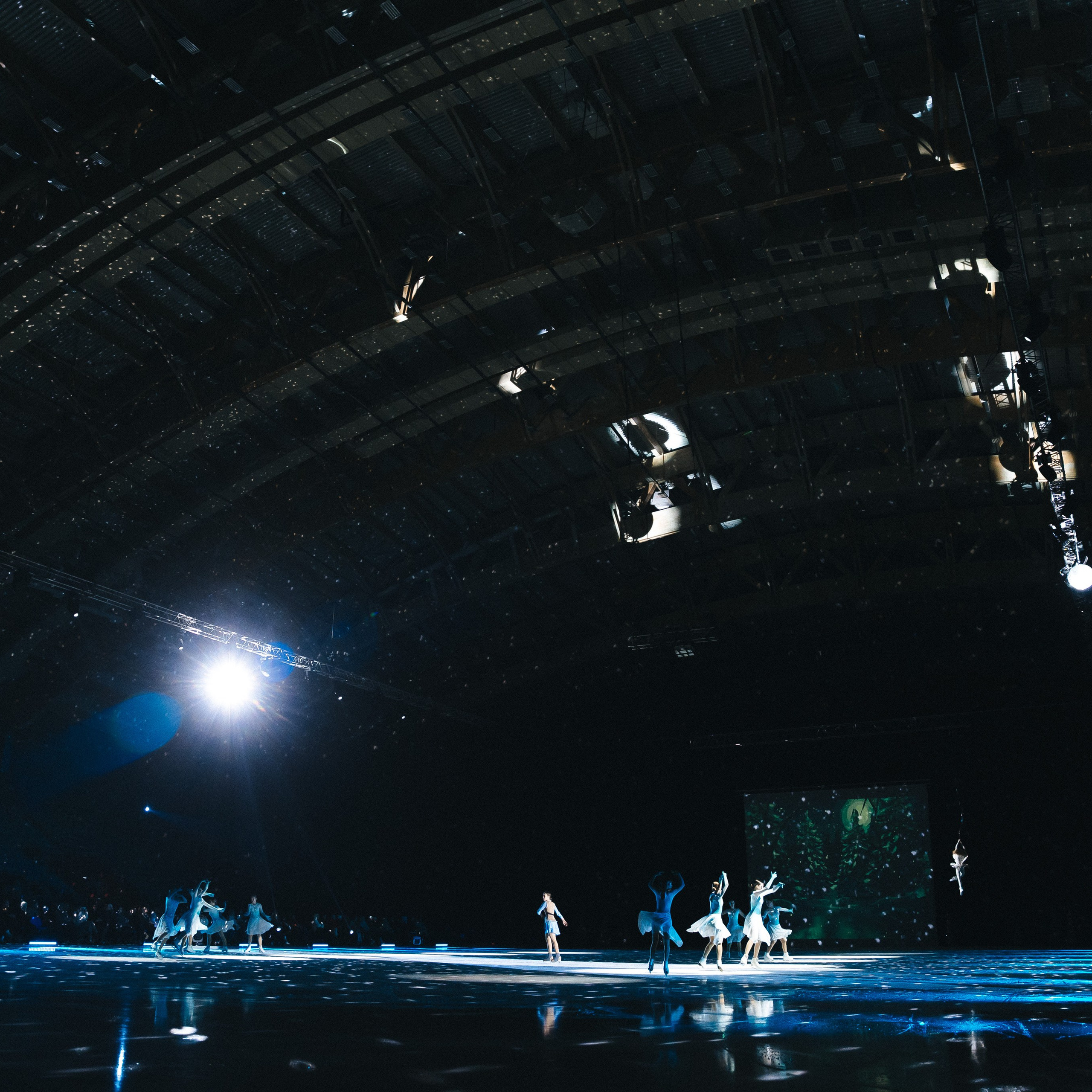 ДВЕНАДЦАТЬ МЕСЯЦЕВ. НОВОГОДНЯЯ СКАЗКА НА ЛЬДУ | Кемерово | 2026