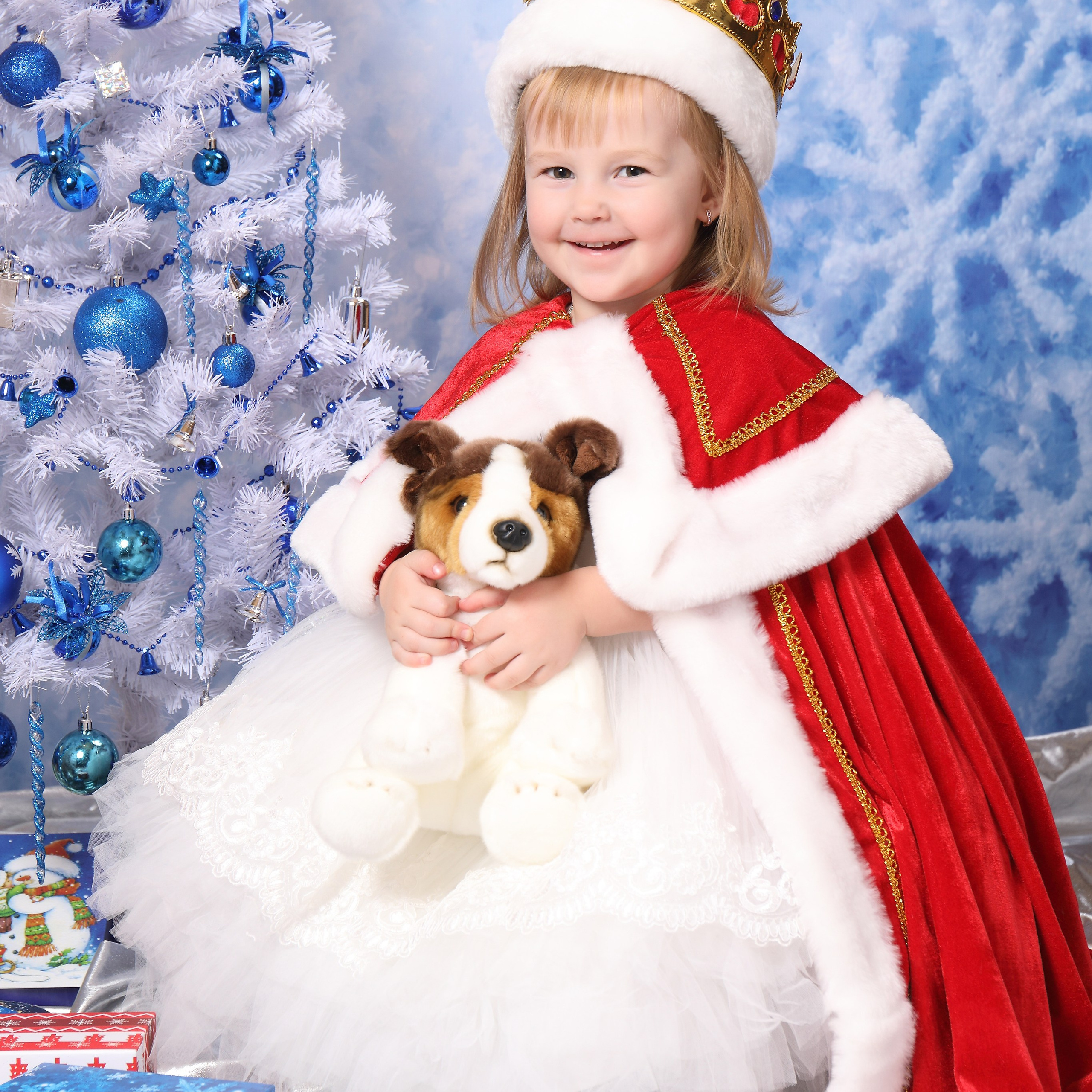 Морозный замок