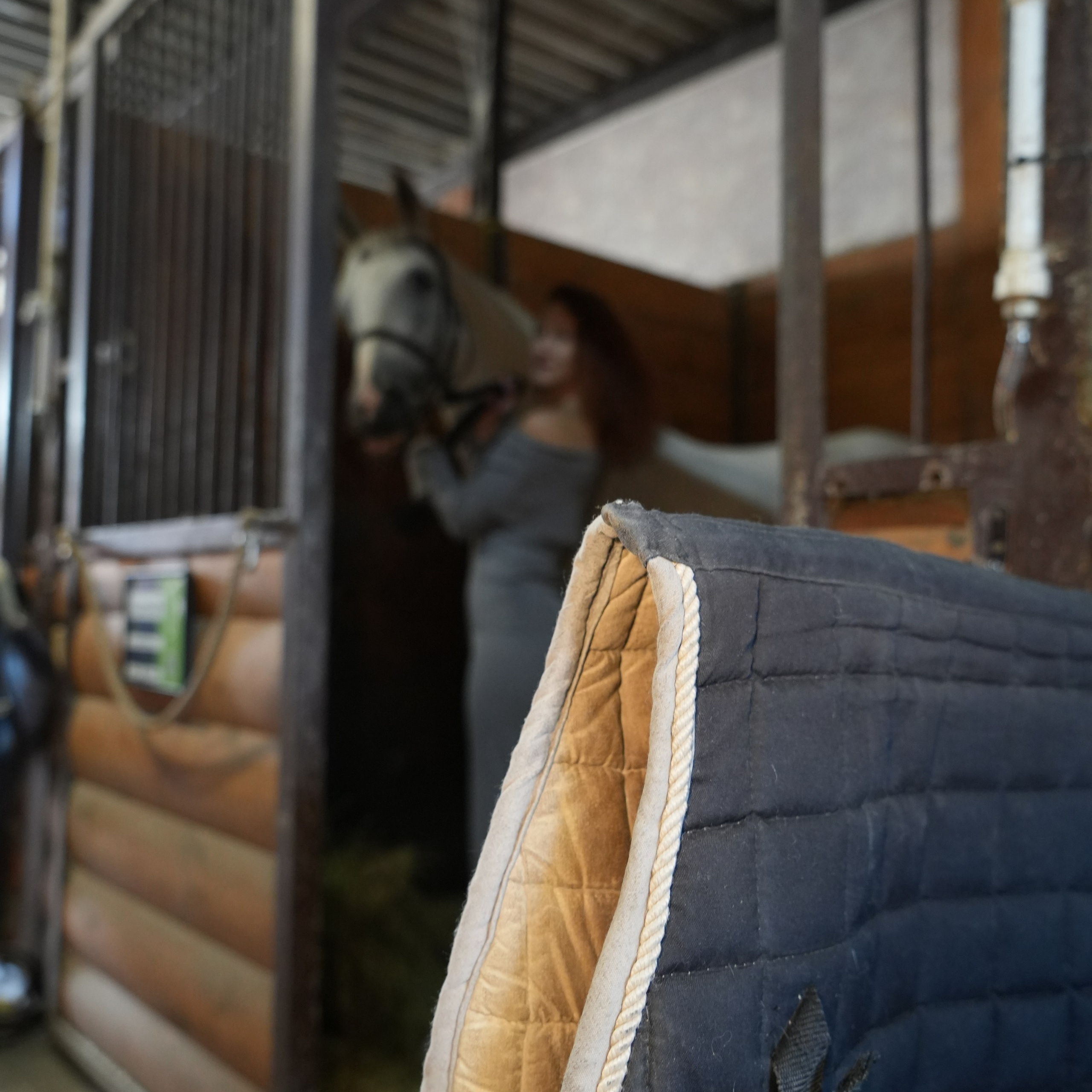 Фотосессия с лошадью