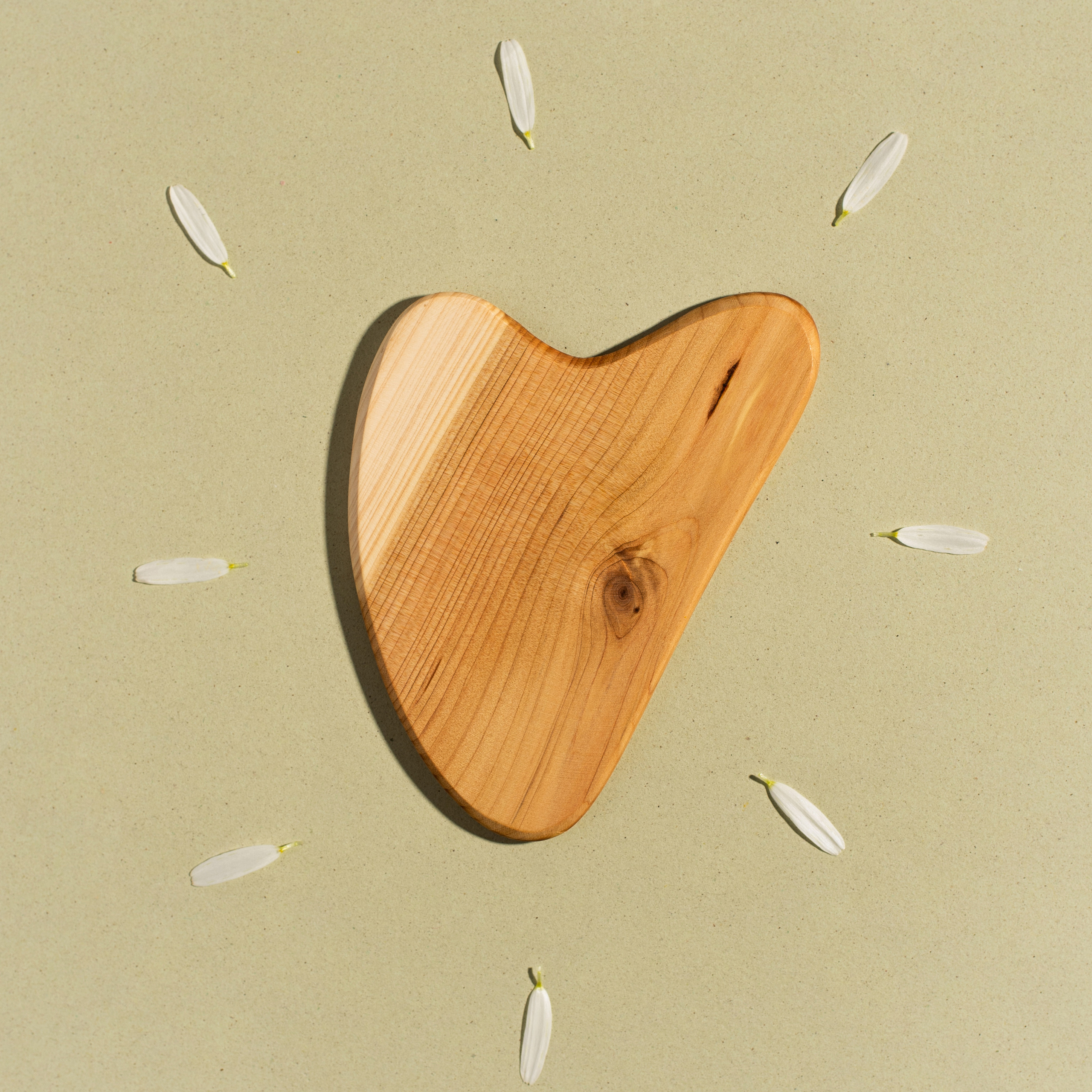 Скребок Гуаша. Портретный и предметный фотограф в Краснодаре Татьяна Хабеева