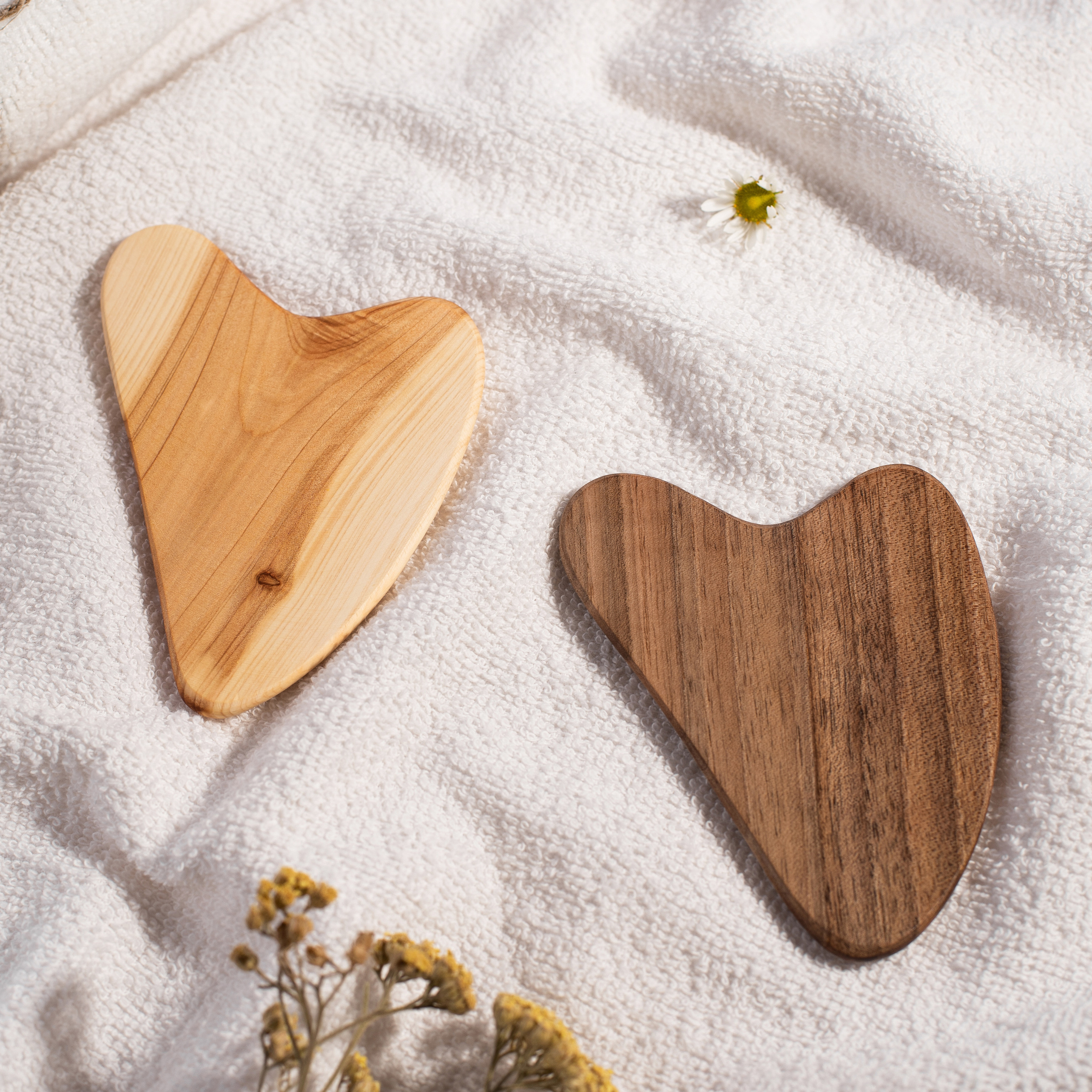 Скребок Гуаша. Портретный и предметный фотограф в Краснодаре Татьяна Хабеева