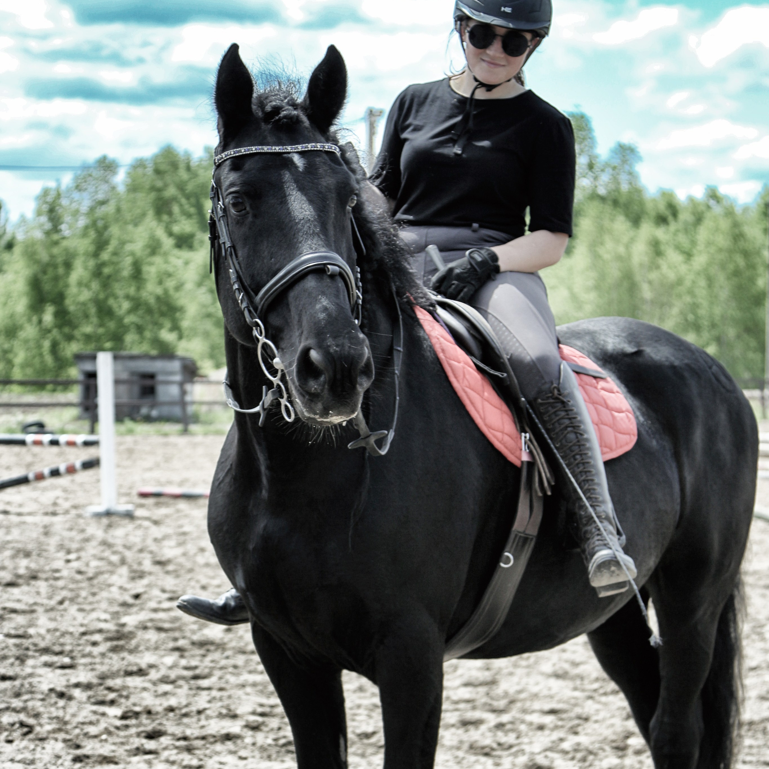 Лошади «Каскад» и «Брилиант». Алиса Томшина — Фотограф