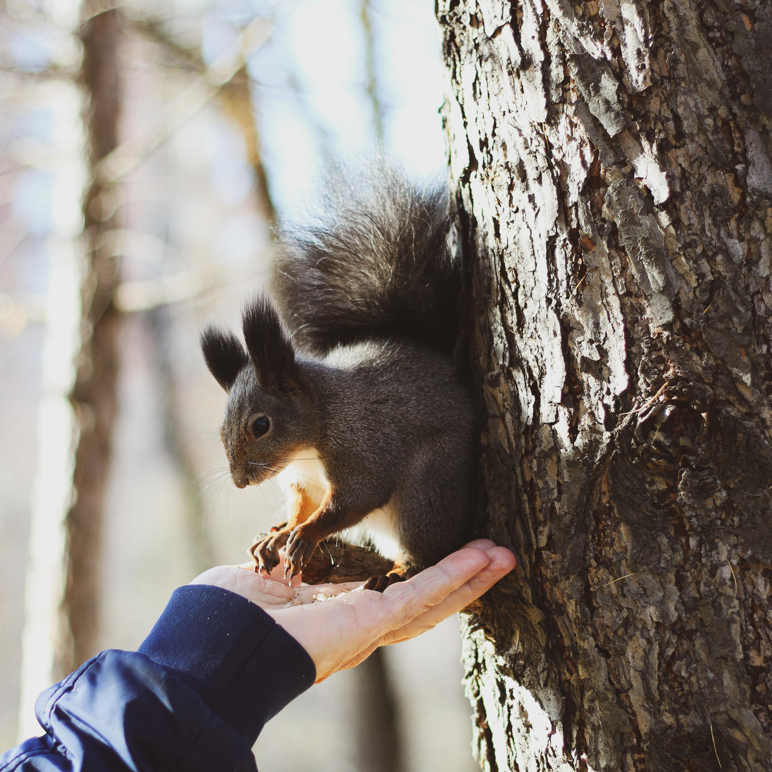 Прогулка 1. Алиса Томшина — Фотограф
