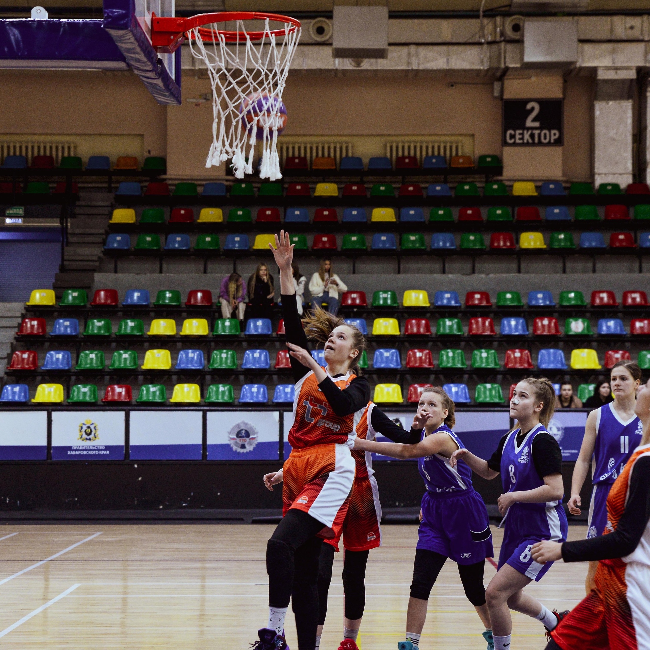 Баскетбол. Алиса Томшина — Фотограф