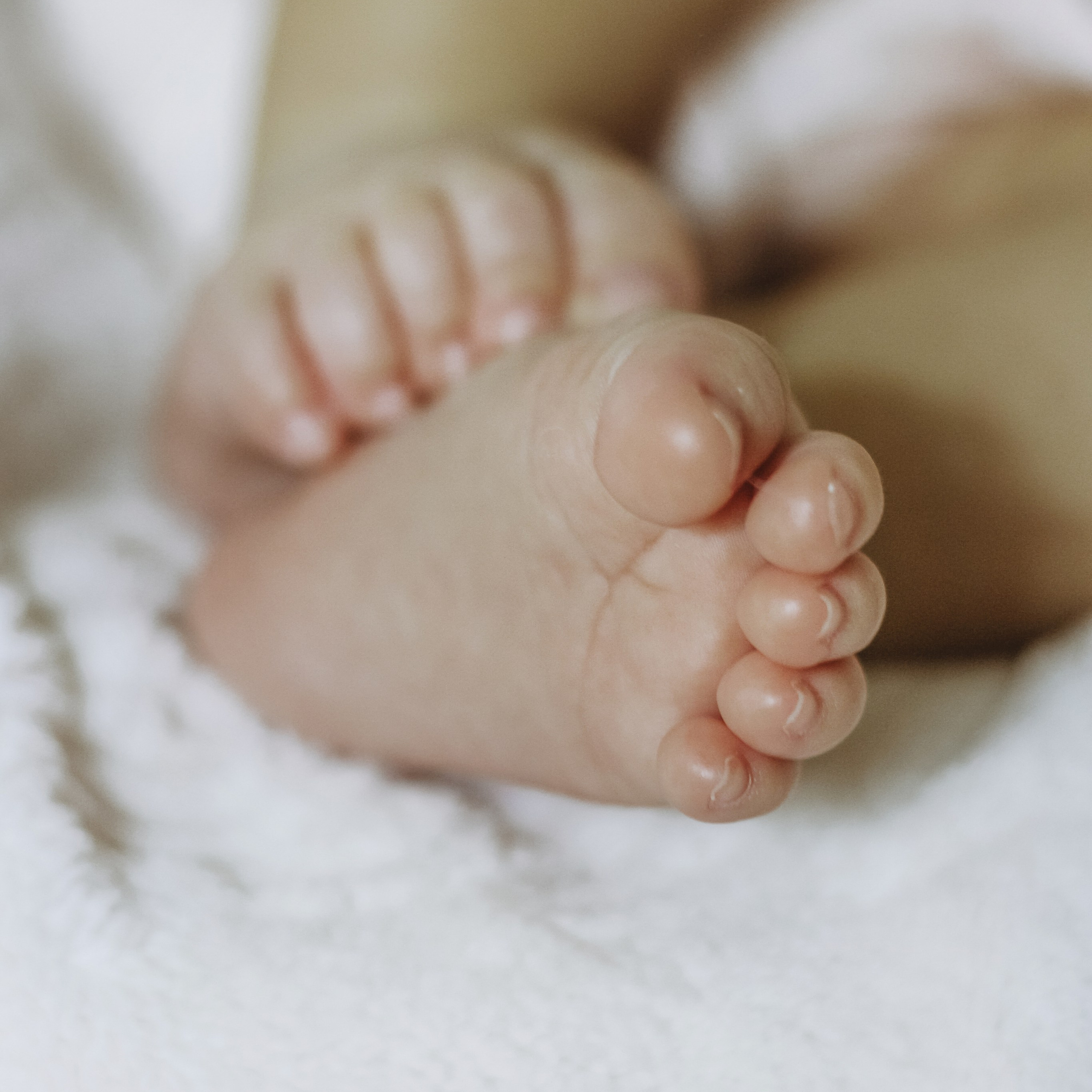 2 месяца. Алиса Томшина — Фотограф