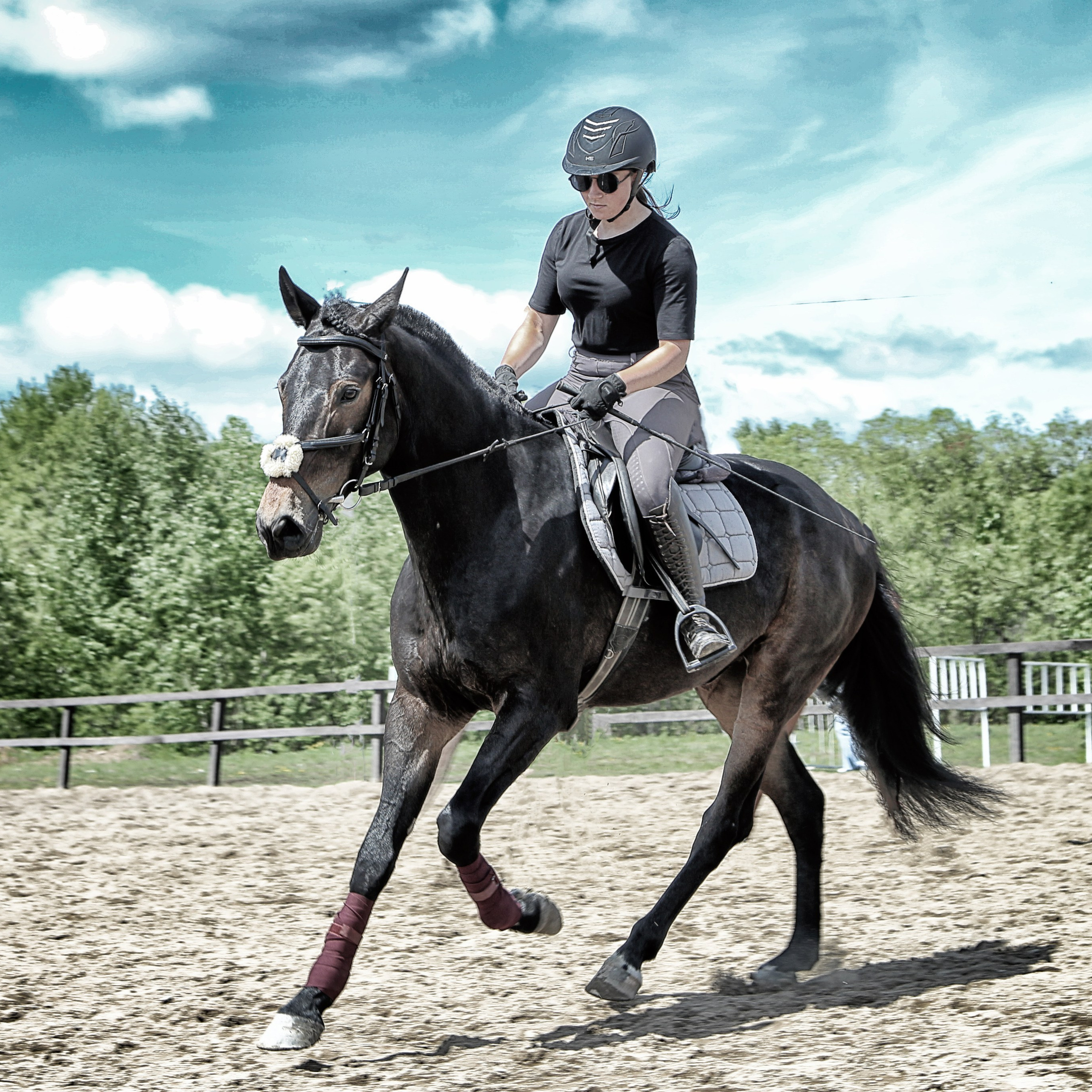 Лошади «Каскад» и «Брилиант». Алиса Томшина — Фотограф