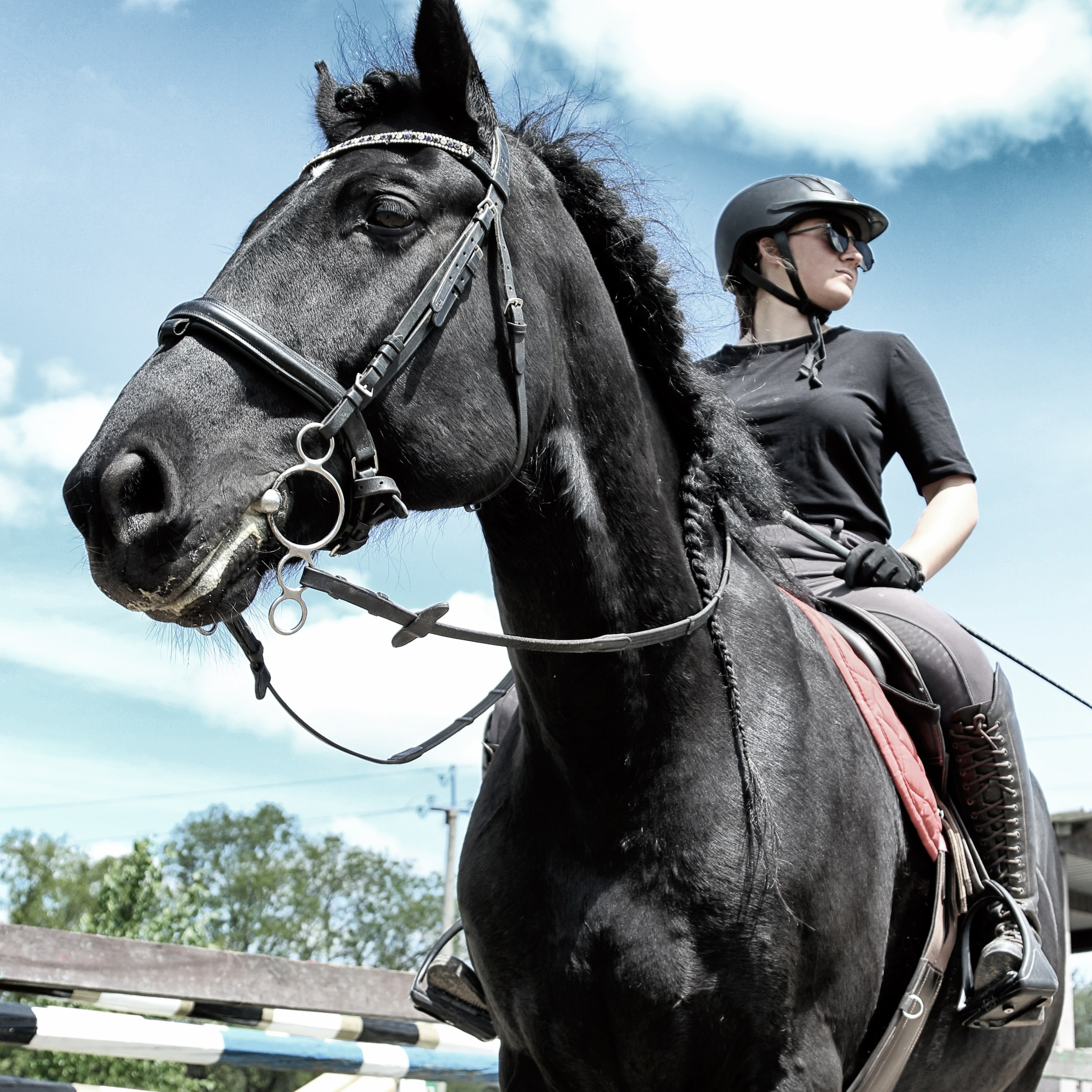 Лошади «Каскад» и «Брилиант». Алиса Томшина — Фотограф