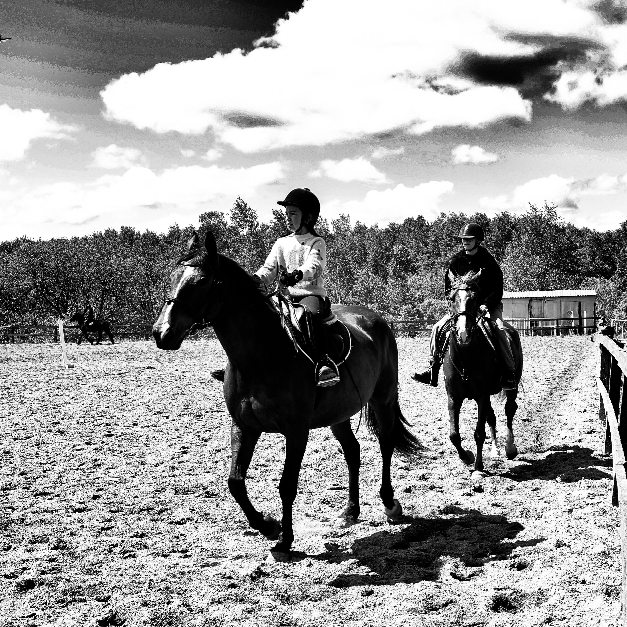 Лошади «Каскад» и «Брилиант». Алиса Томшина — Фотограф