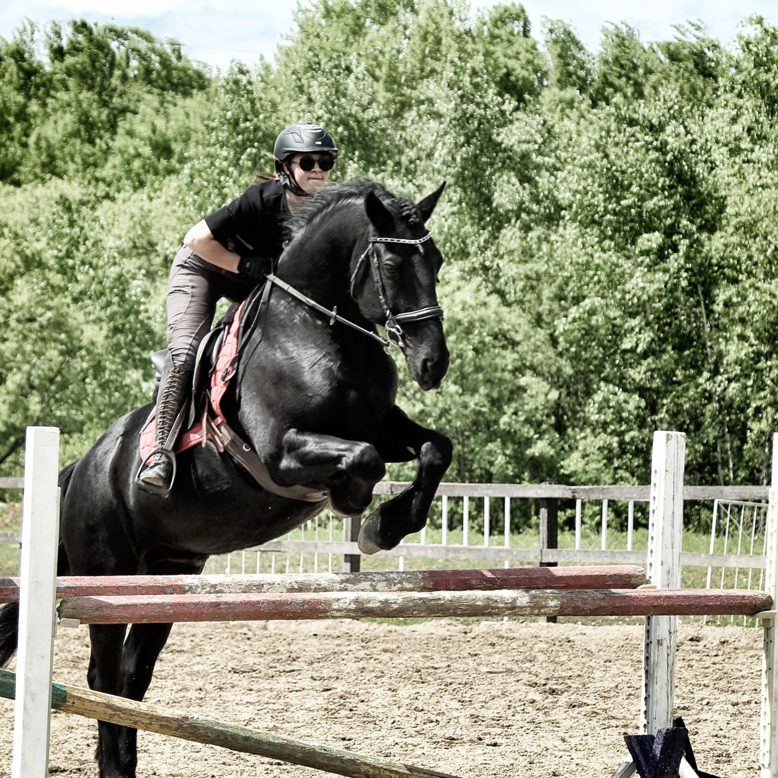 Лошади «Каскад» и «Брилиант». Алиса Томшина — Фотограф