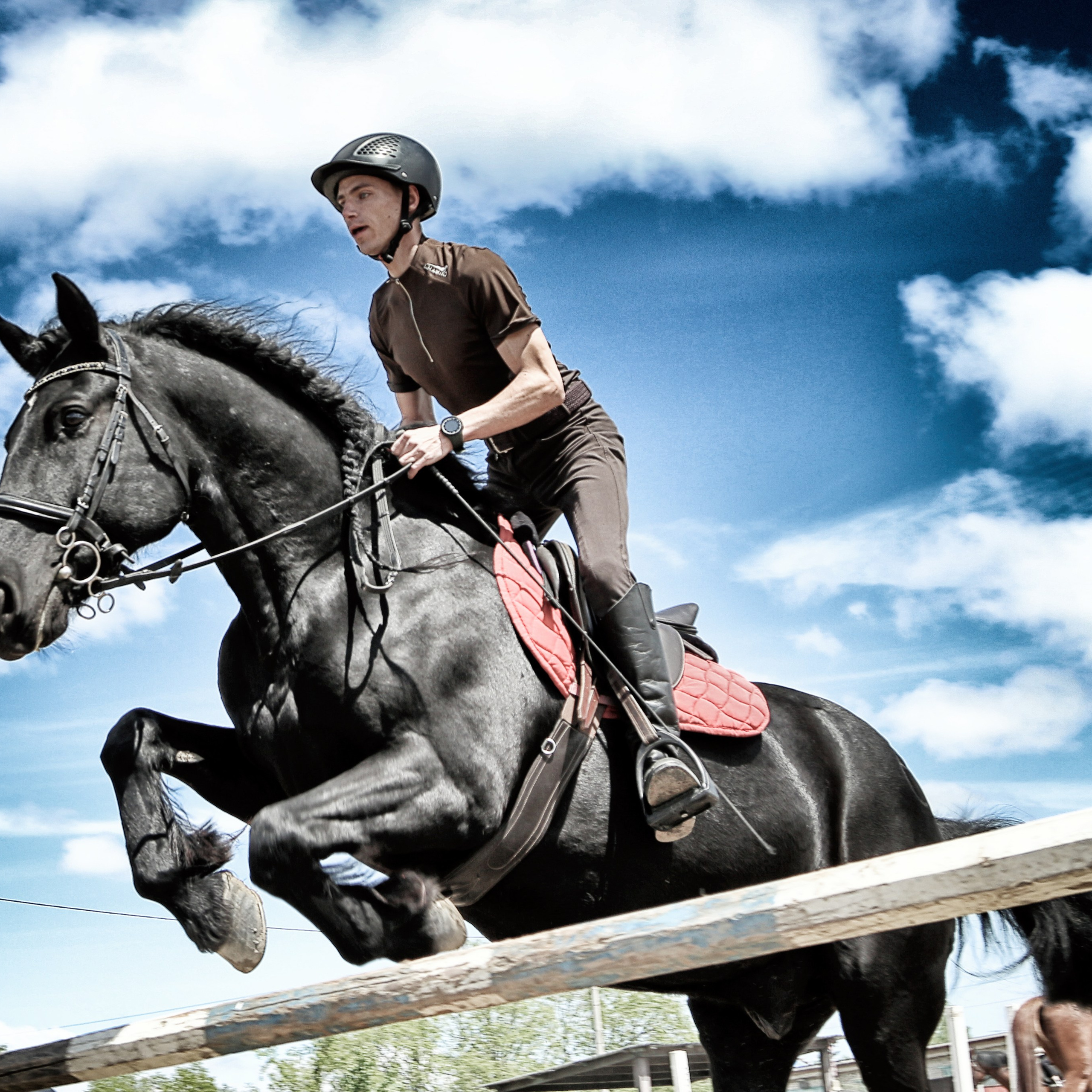 Лошади «Каскад» и «Брилиант». Алиса Томшина — Фотограф
