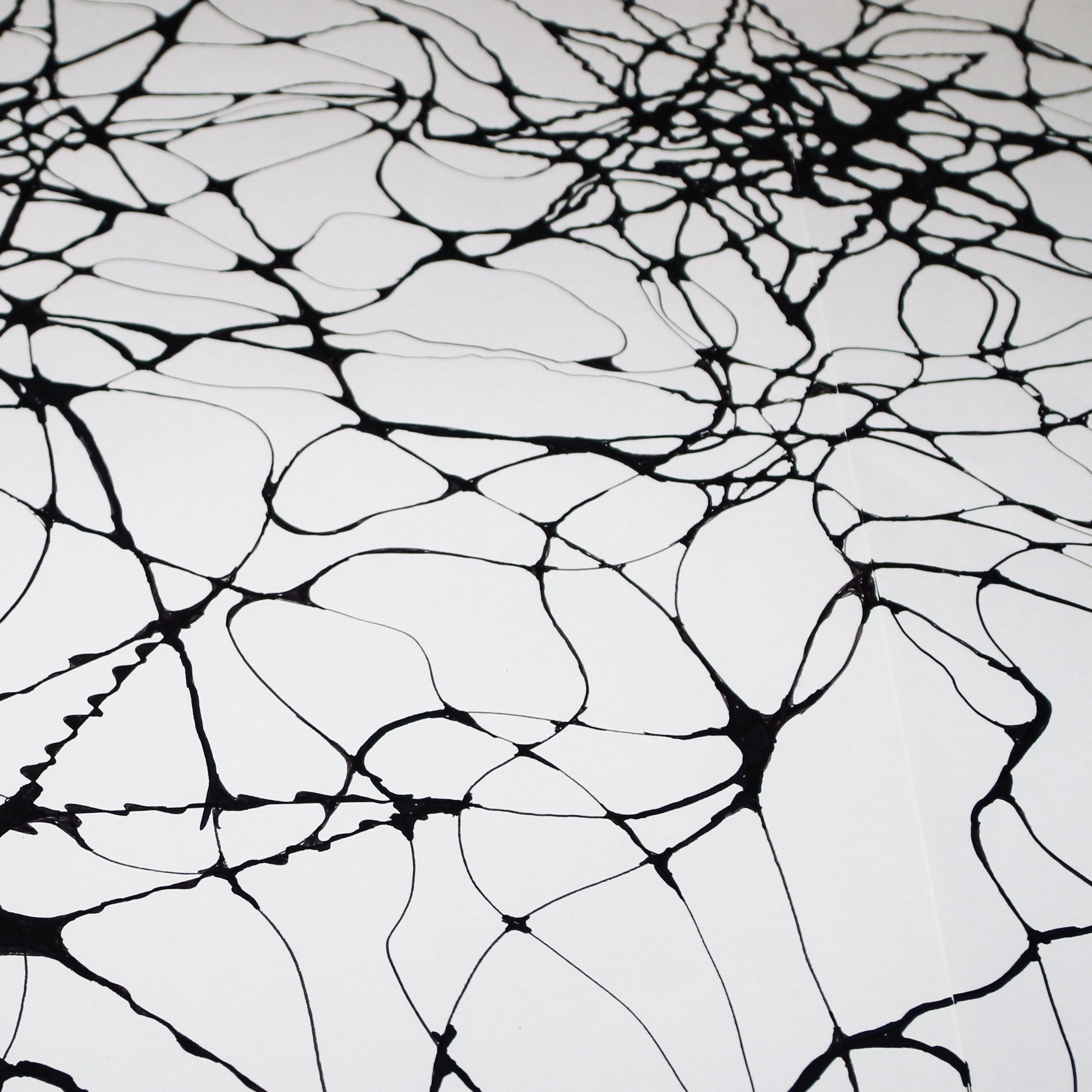 Арагон Нейрографика. Алиса Томшина — Фотограф