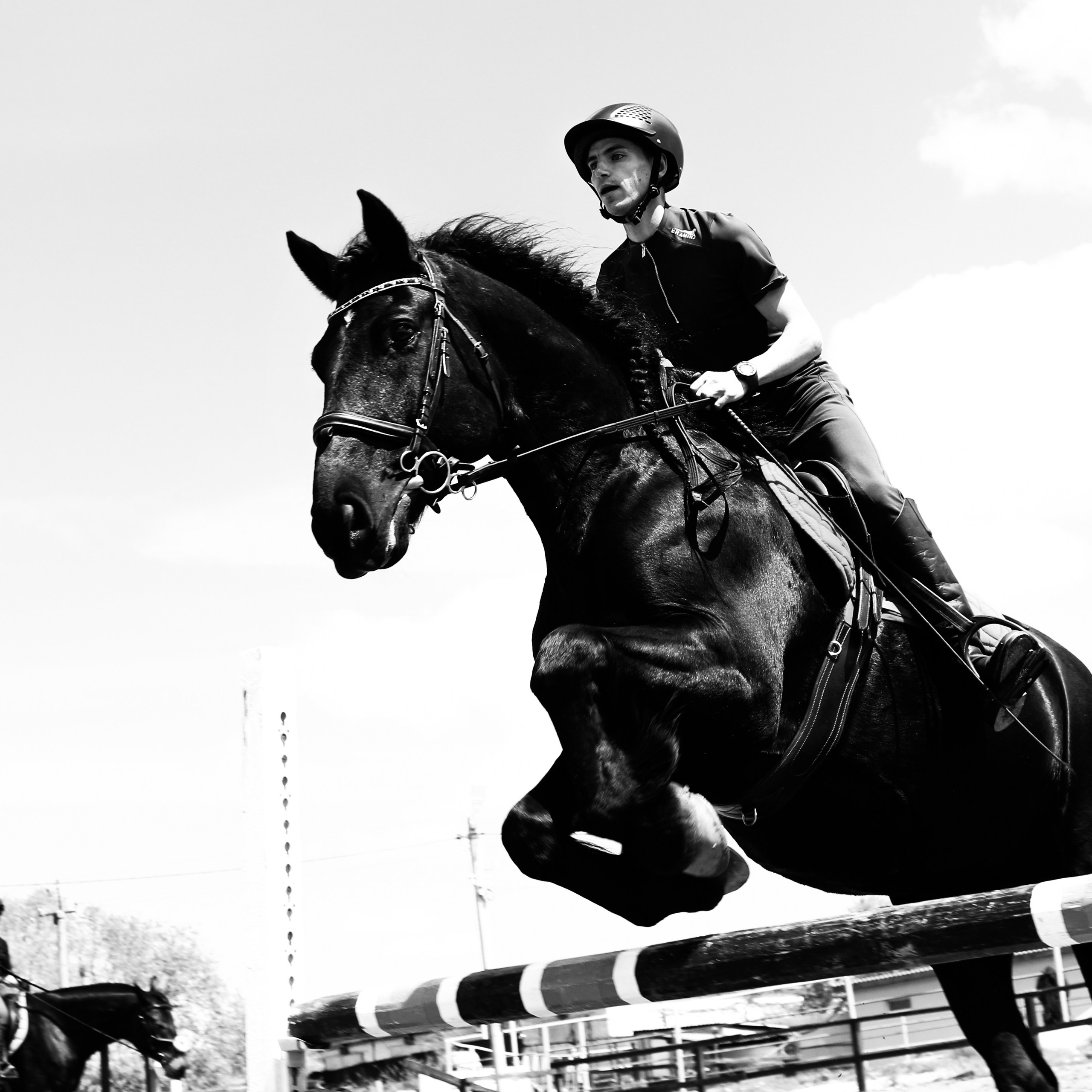 Лошади «Каскад» и «Брилиант». Алиса Томшина — Фотограф