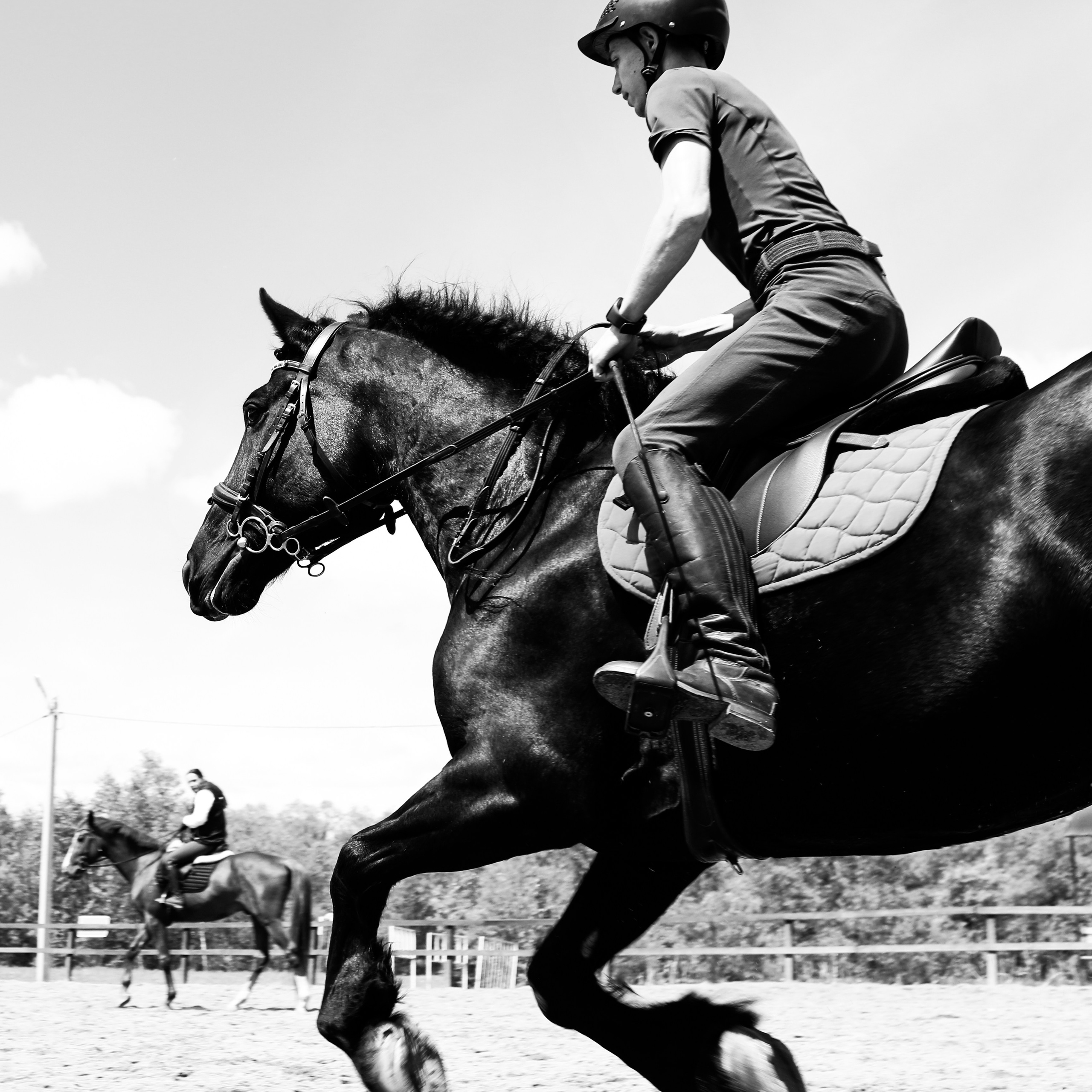 Лошади «Каскад» и «Брилиант». Алиса Томшина — Фотограф