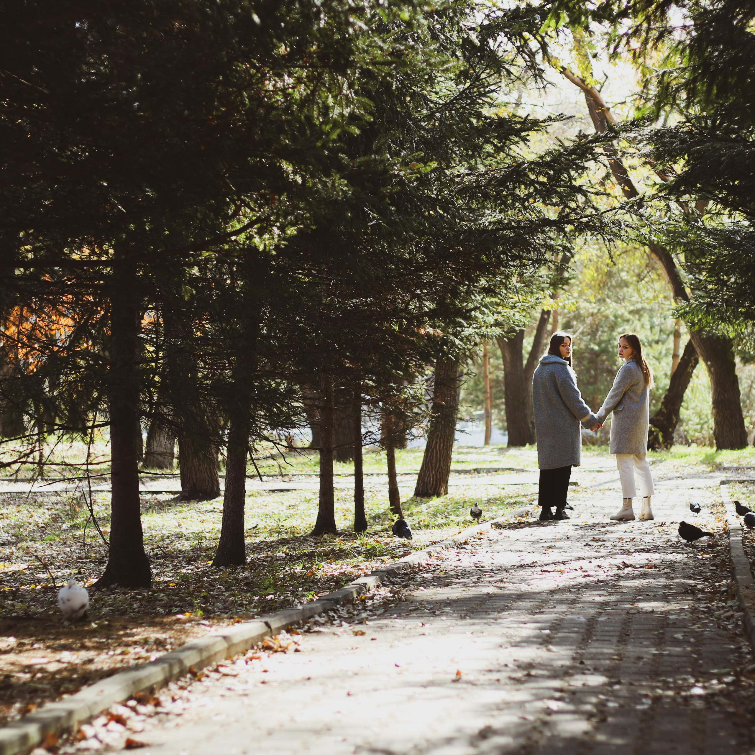Прогулка 1. Алиса Томшина — Фотограф
