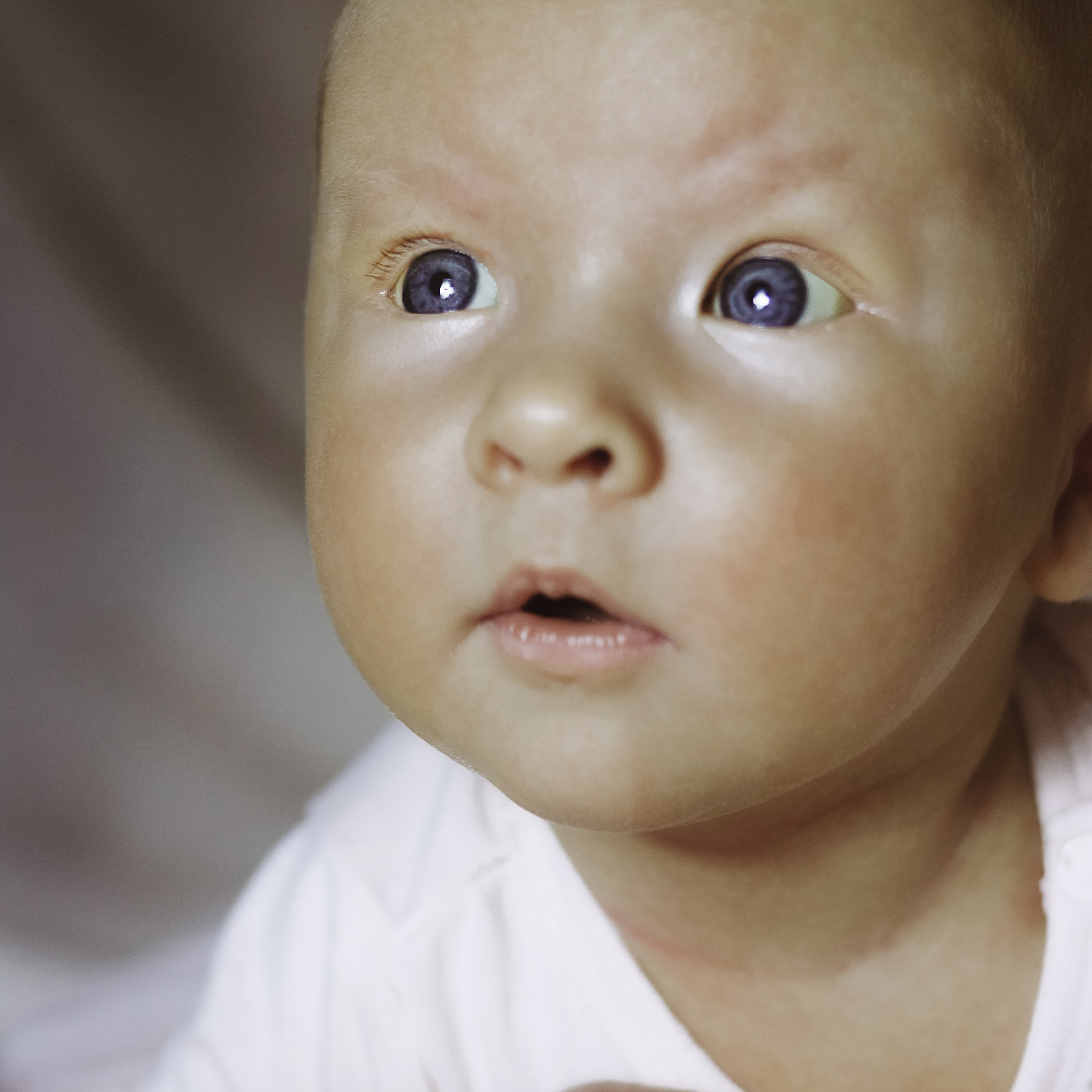 2 месяца. Алиса Томшина — Фотограф