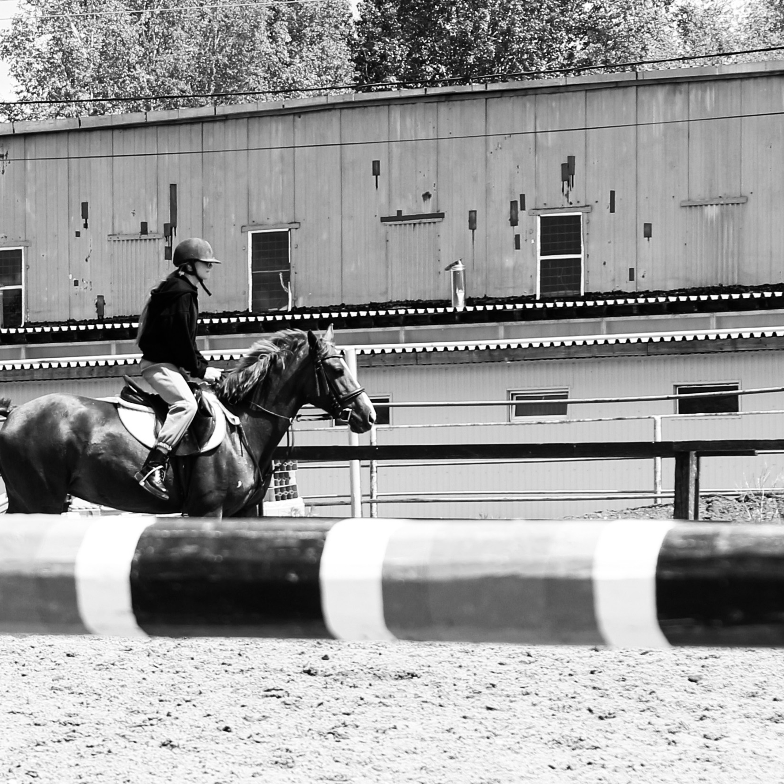 Лошади «Каскад» и «Брилиант». Алиса Томшина — Фотограф