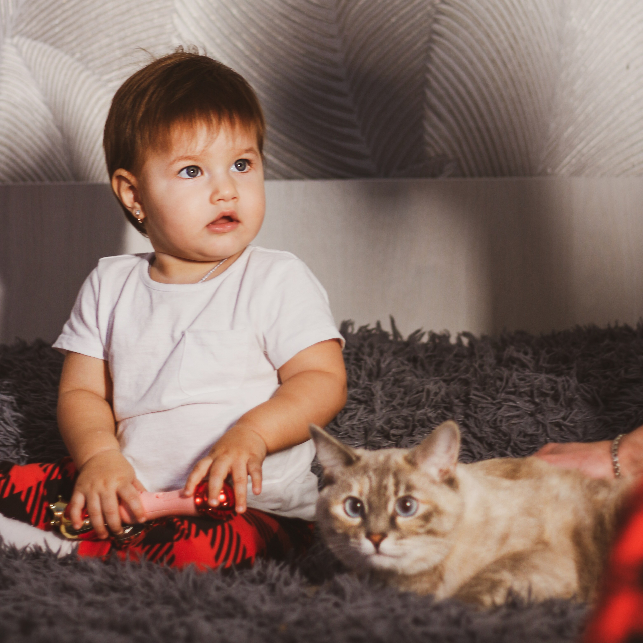 7я. Алиса Томшина — Фотограф