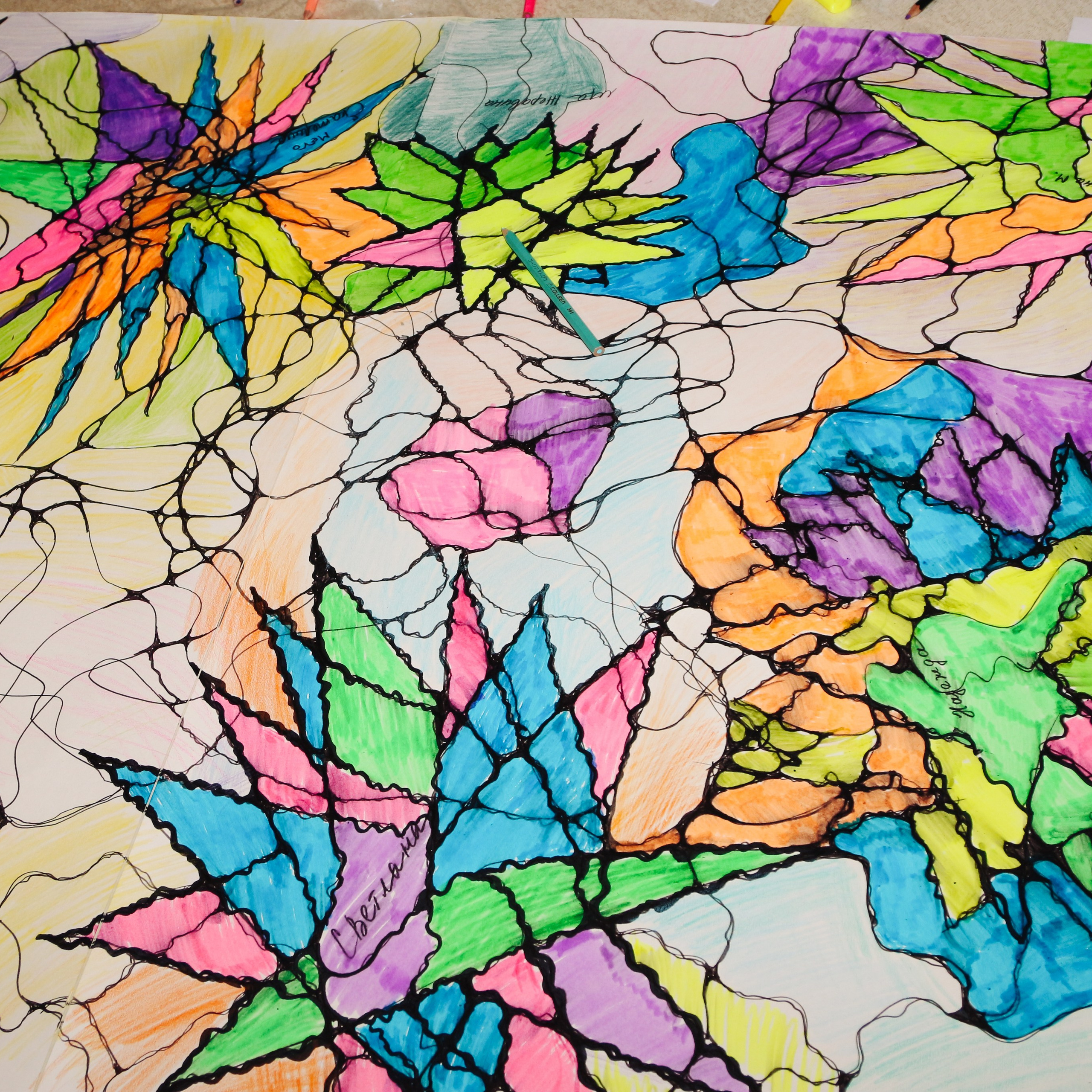 Арагон Нейрографика. Алиса Томшина — Фотограф