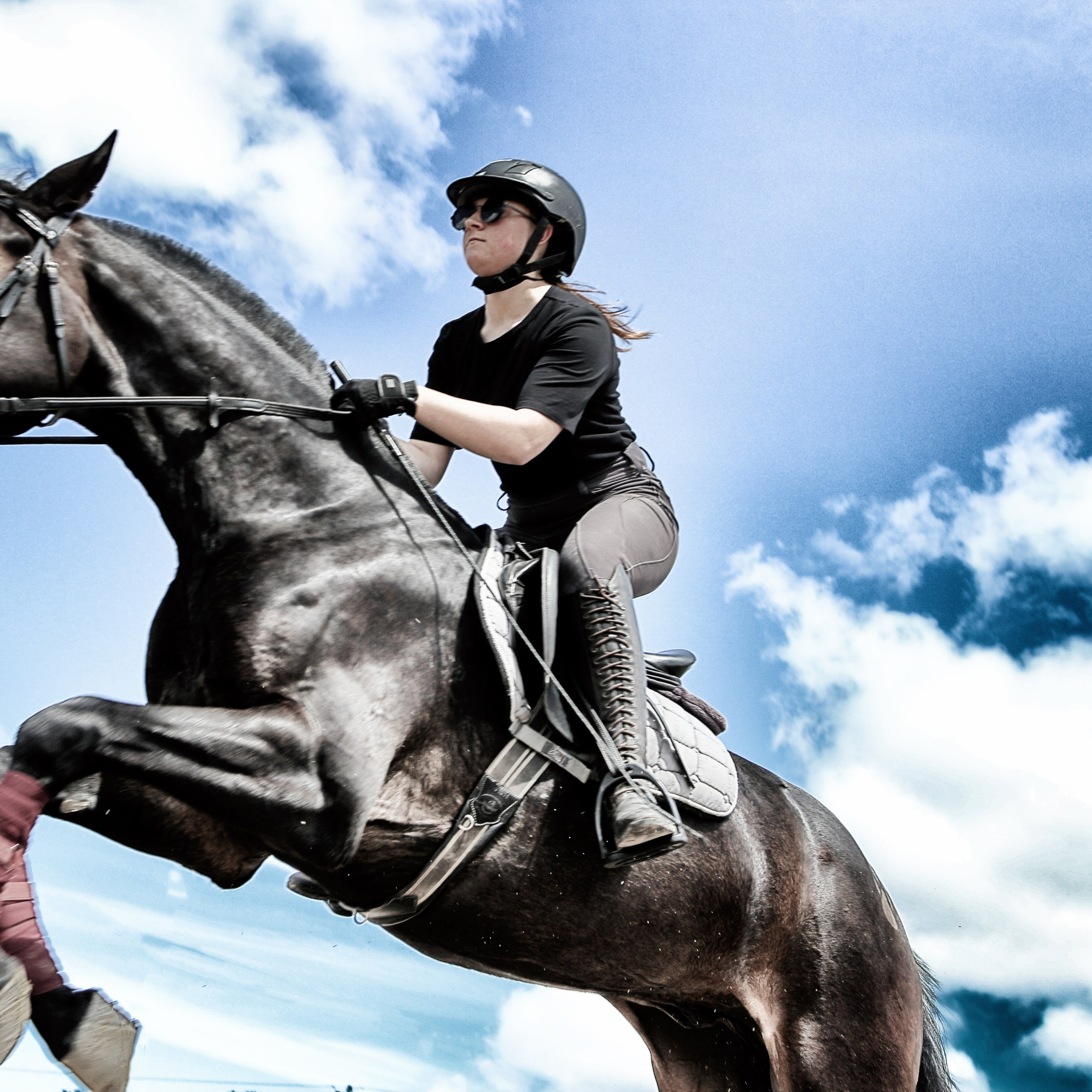 Лошади «Каскад» и «Брилиант». Алиса Томшина — Фотограф
