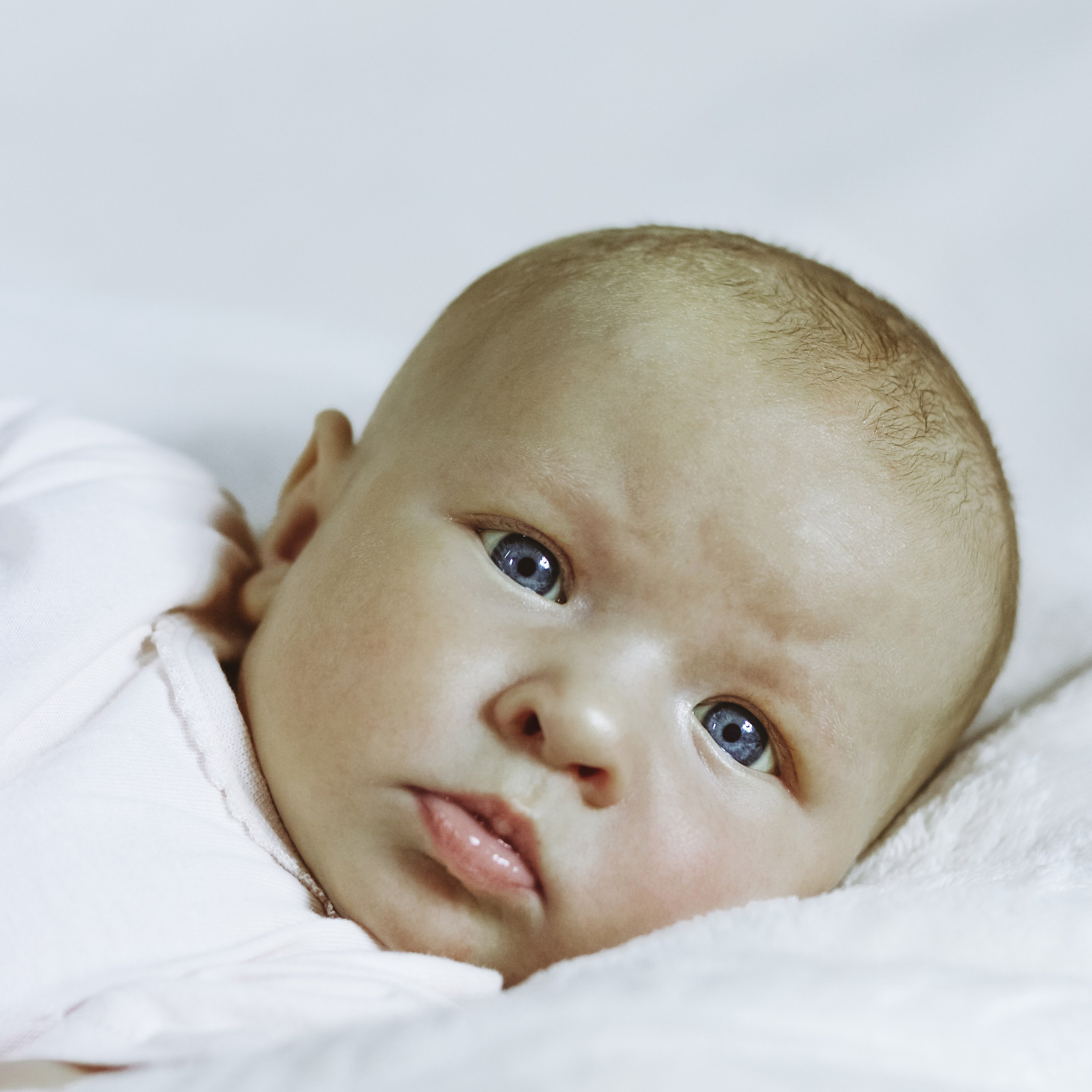 2 месяца. Алиса Томшина — Фотограф