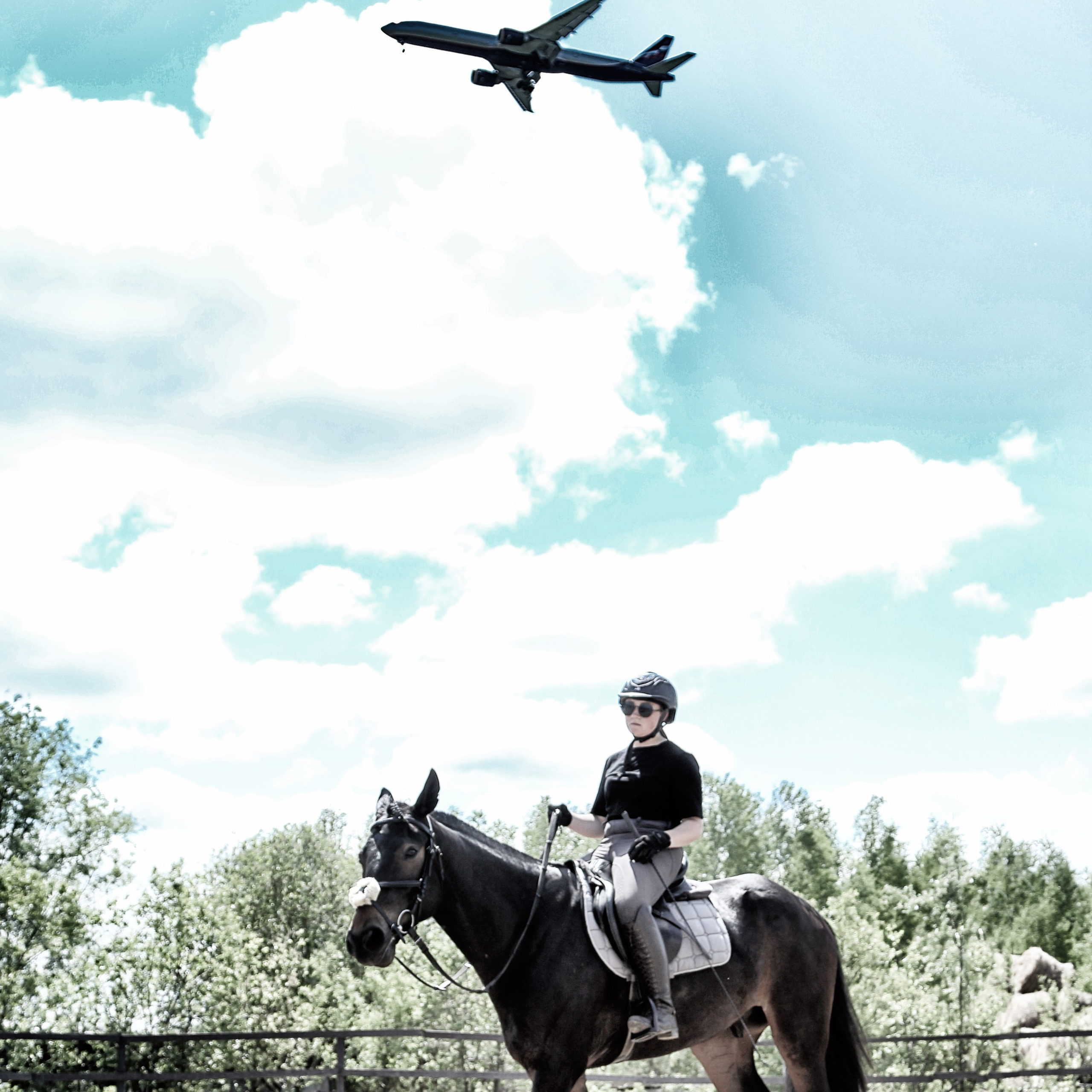 Лошади «Каскад» и «Брилиант». Алиса Томшина — Фотограф