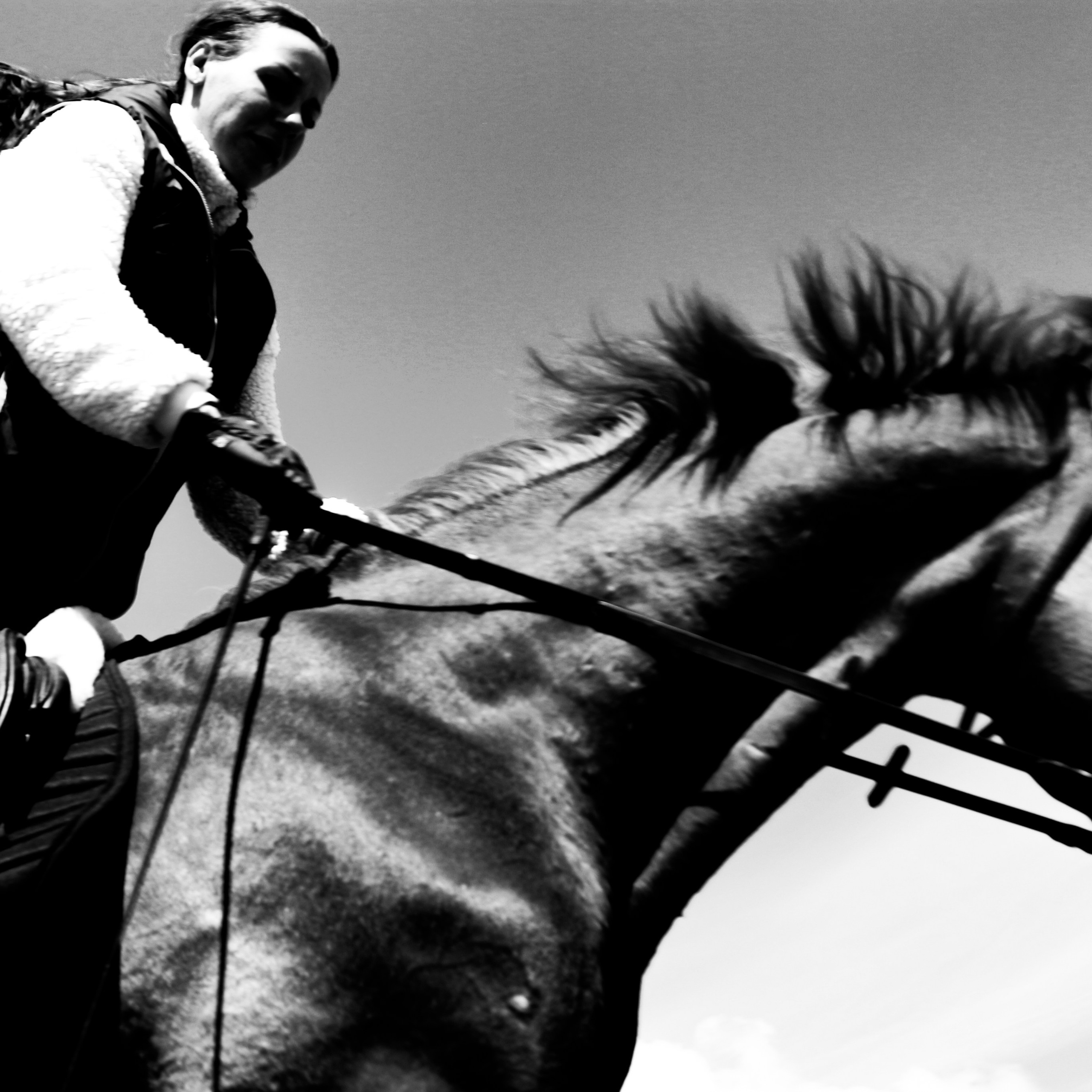 Лошади «Каскад» и «Брилиант». Алиса Томшина — Фотограф