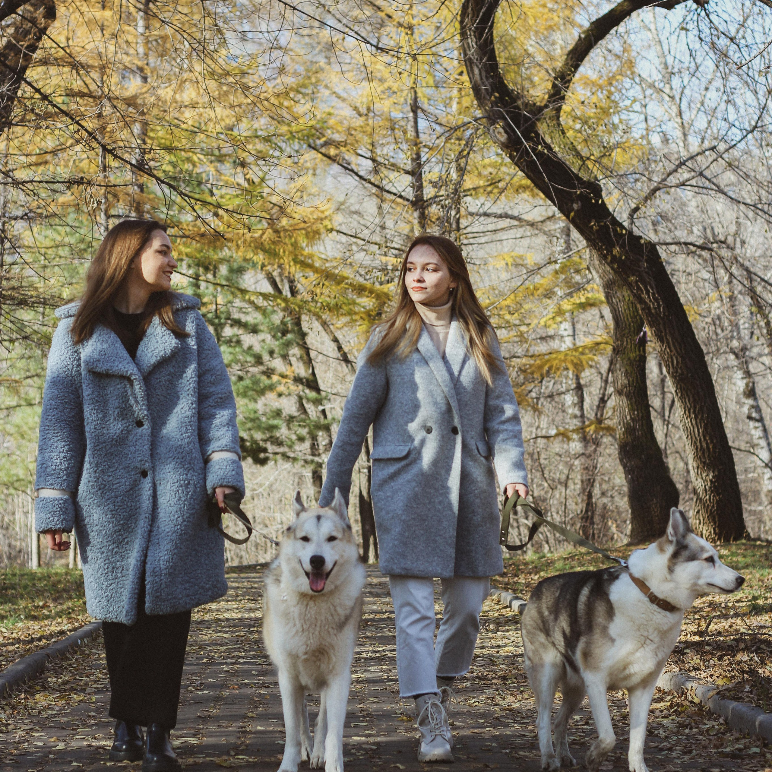 Прогулка 1. Алиса Томшина — Фотограф