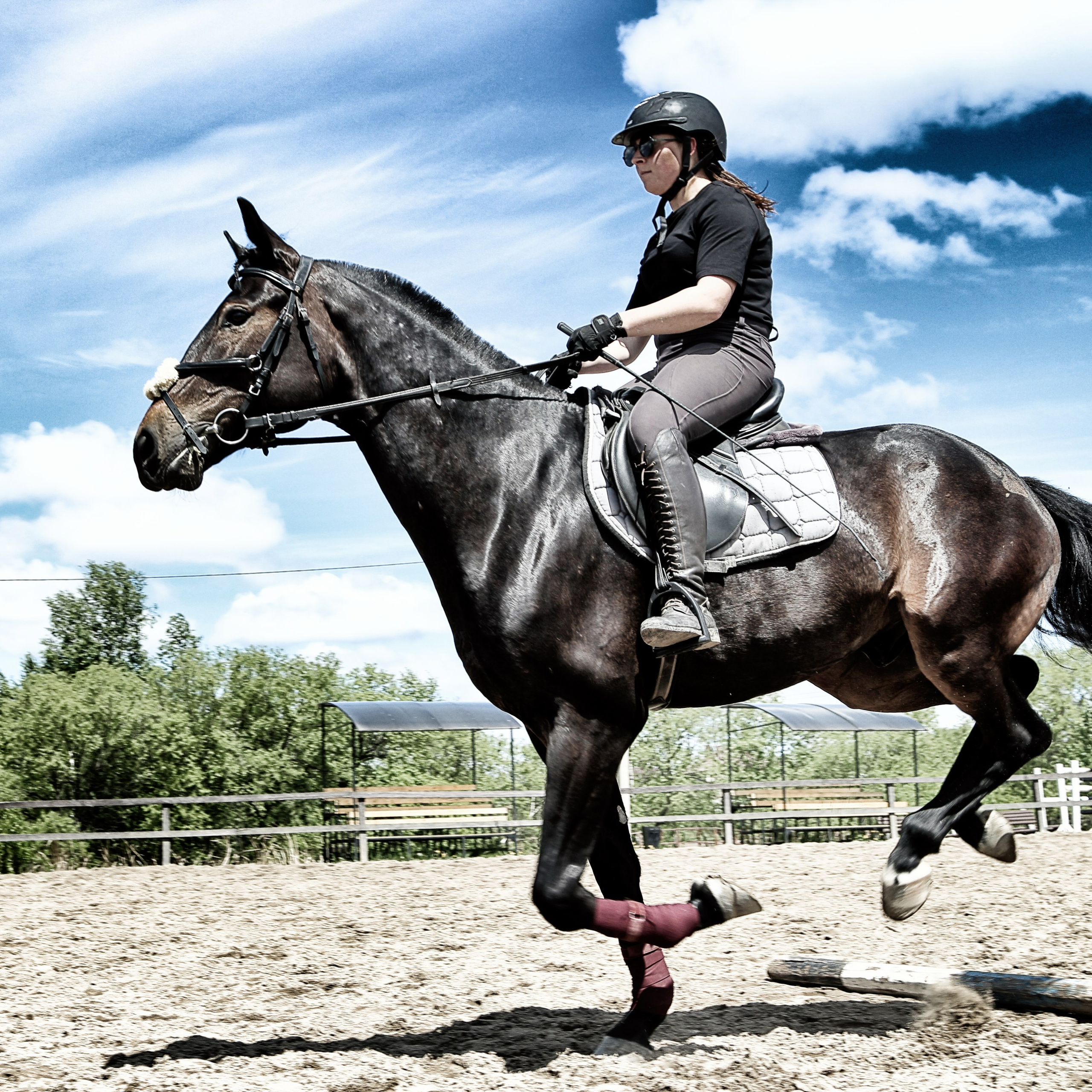Лошади «Каскад» и «Брилиант». Алиса Томшина — Фотограф