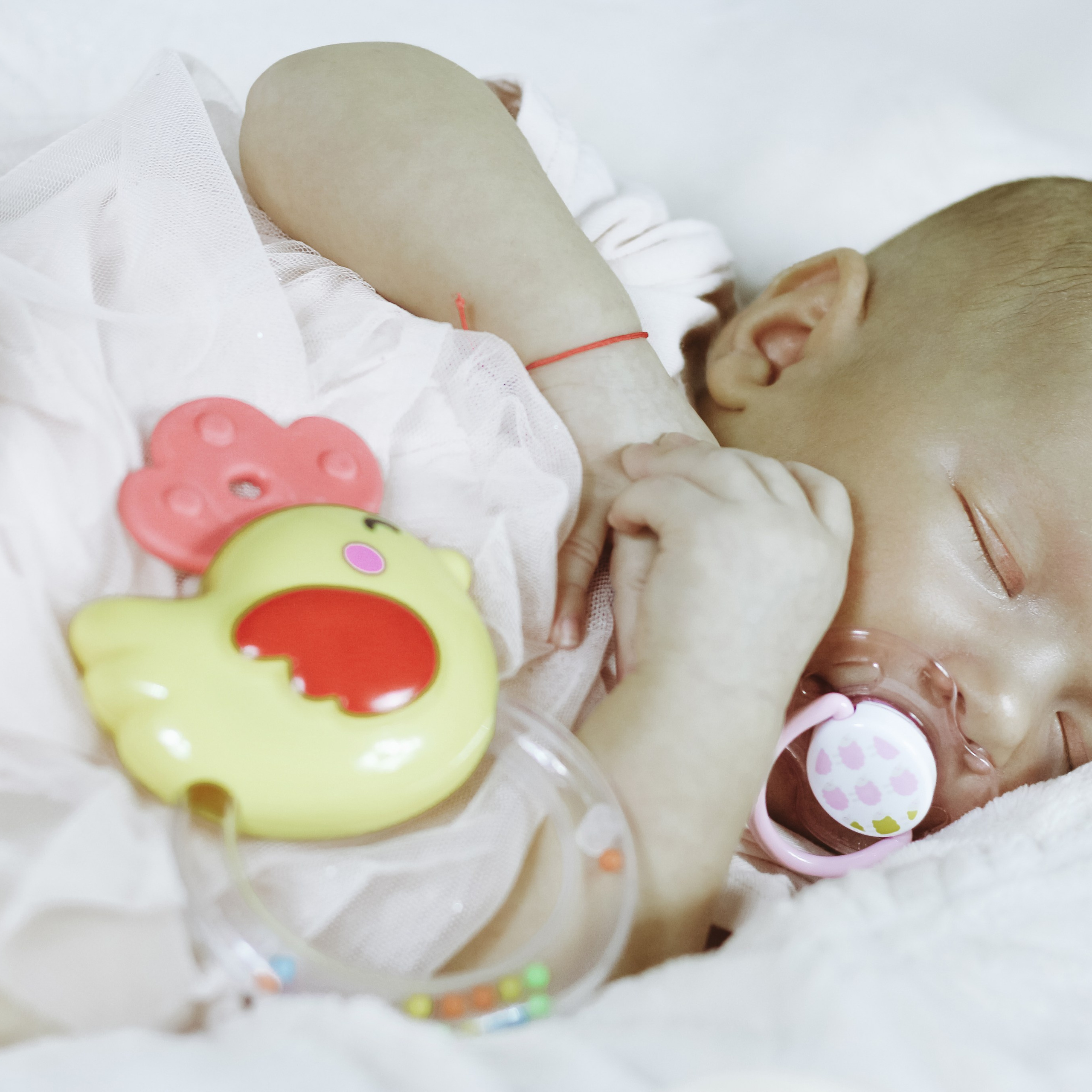 2 месяца. Алиса Томшина — Фотограф