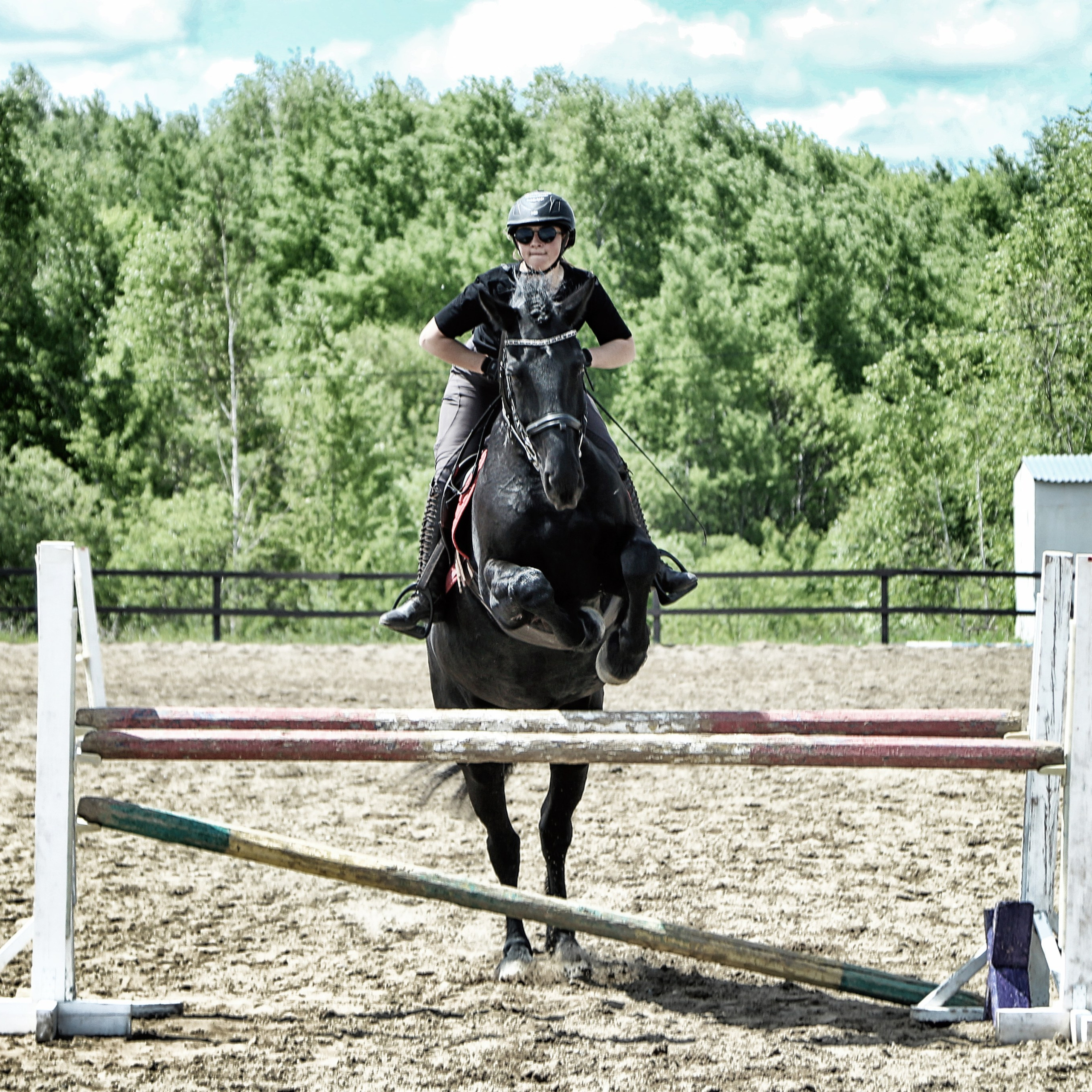 Лошади «Каскад» и «Брилиант». Алиса Томшина — Фотограф