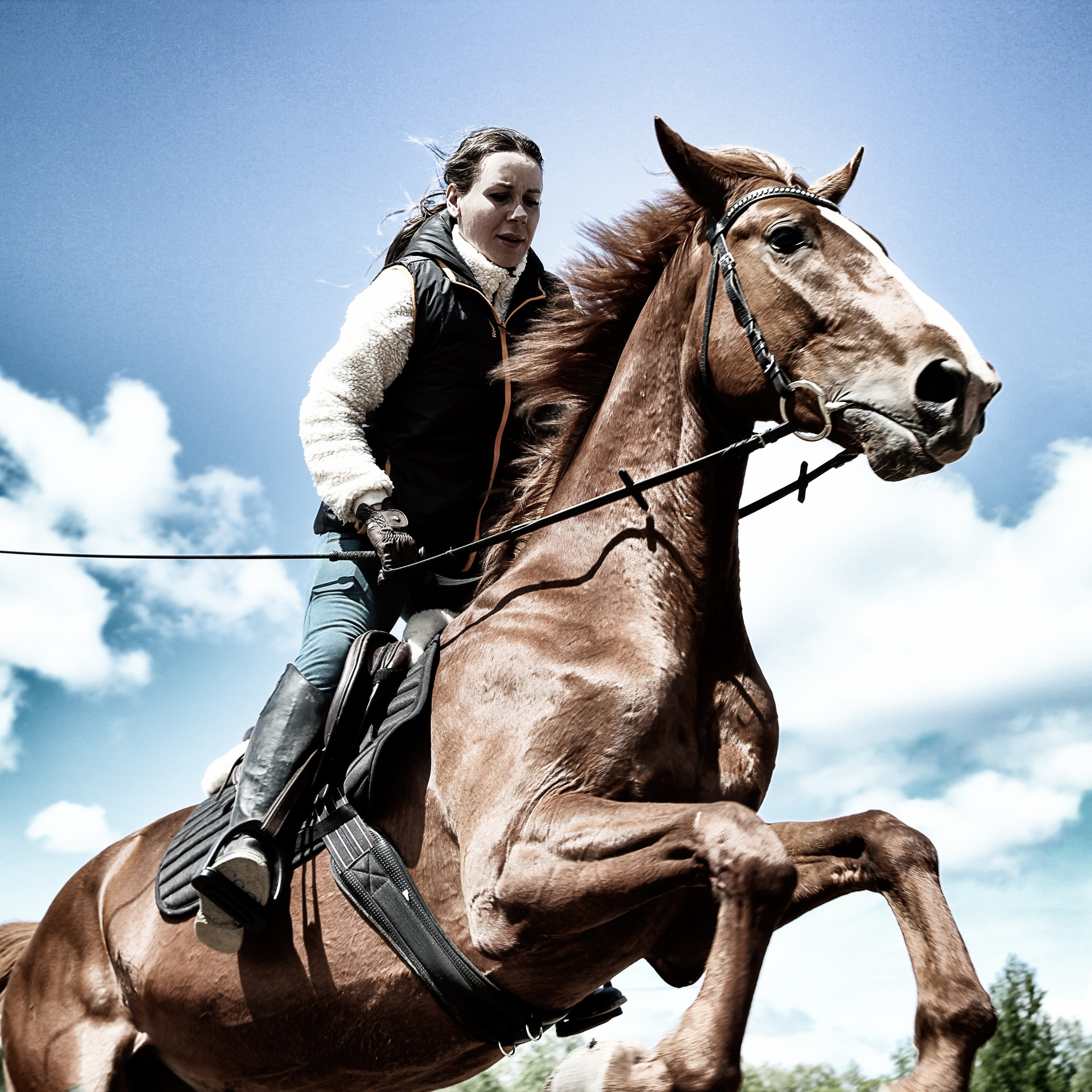 Лошади «Каскад» и «Брилиант». Алиса Томшина — Фотограф
