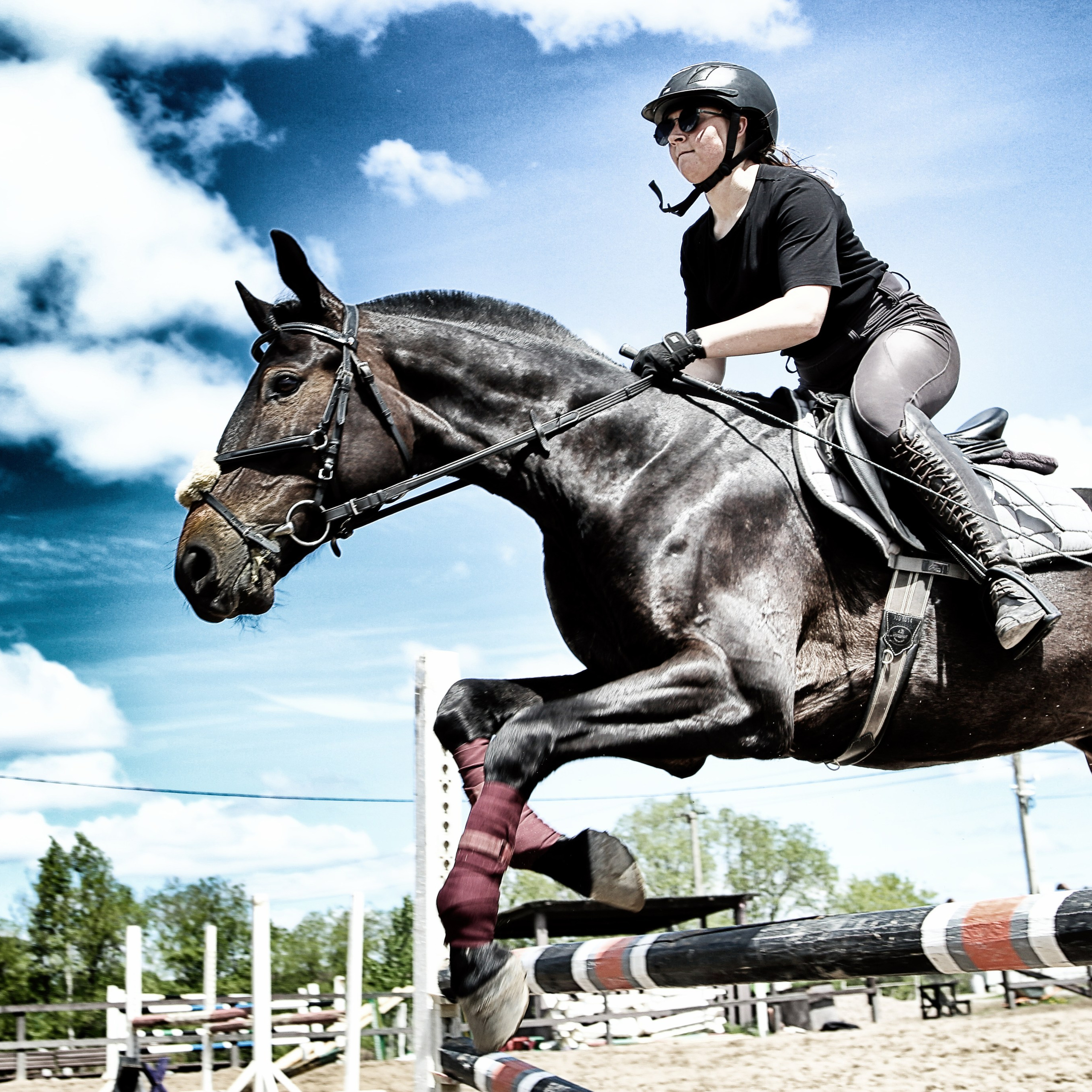 Лошади «Каскад» и «Брилиант». Алиса Томшина — Фотограф