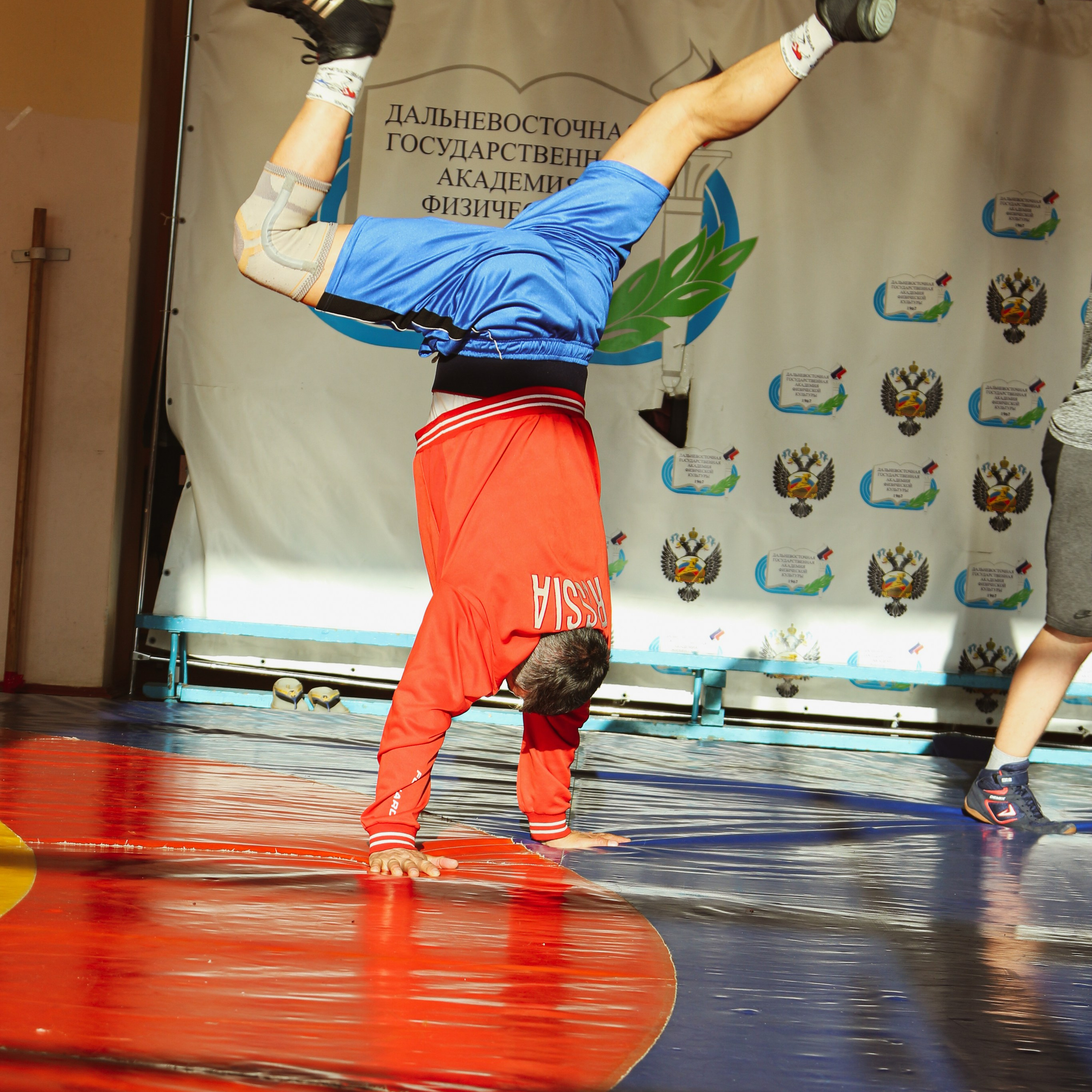 Борьба. Алиса Томшина — Фотограф