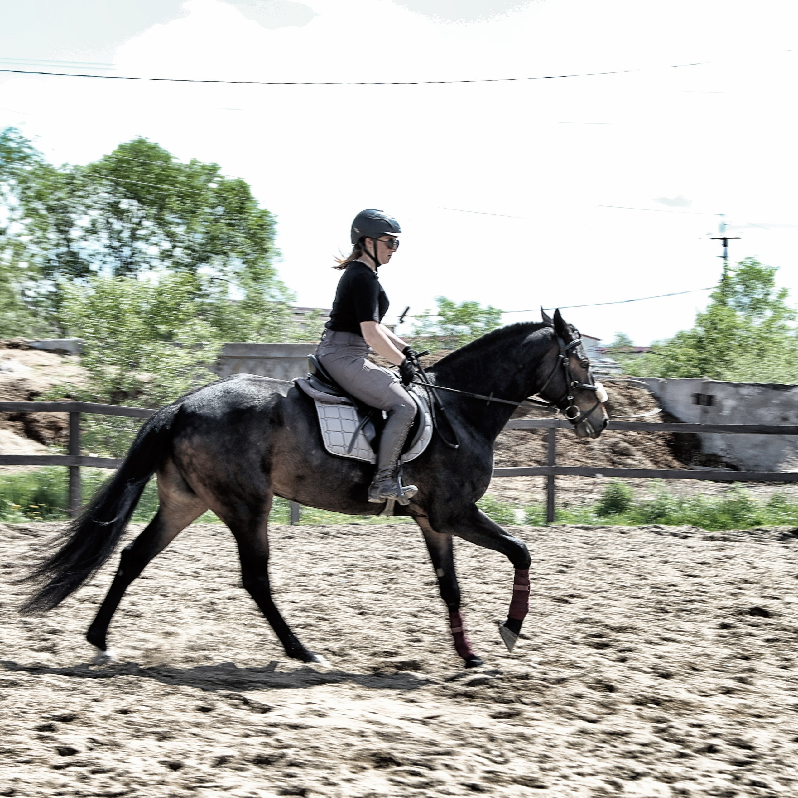 Лошади «Каскад» и «Брилиант». Алиса Томшина — Фотограф