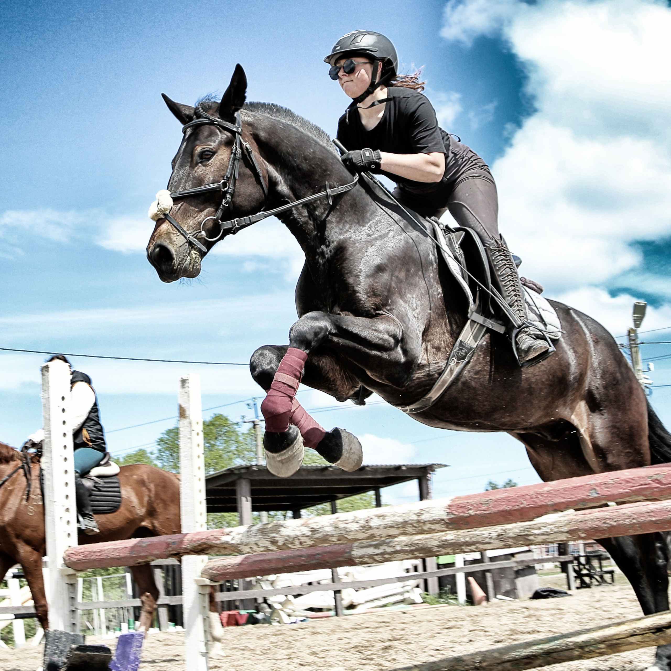 Лошади «Каскад» и «Брилиант». Алиса Томшина — Фотограф