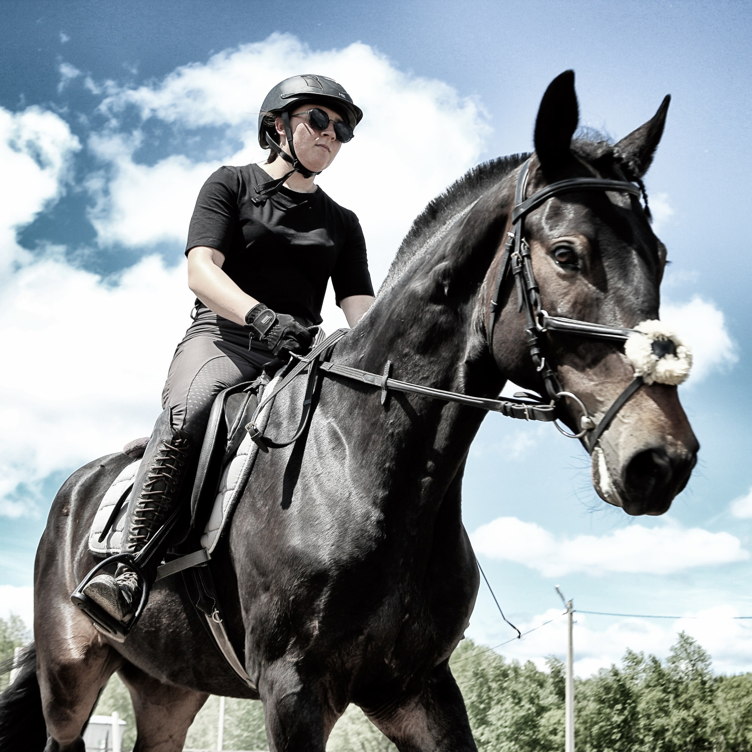 Лошади «Каскад» и «Брилиант». Алиса Томшина — Фотограф