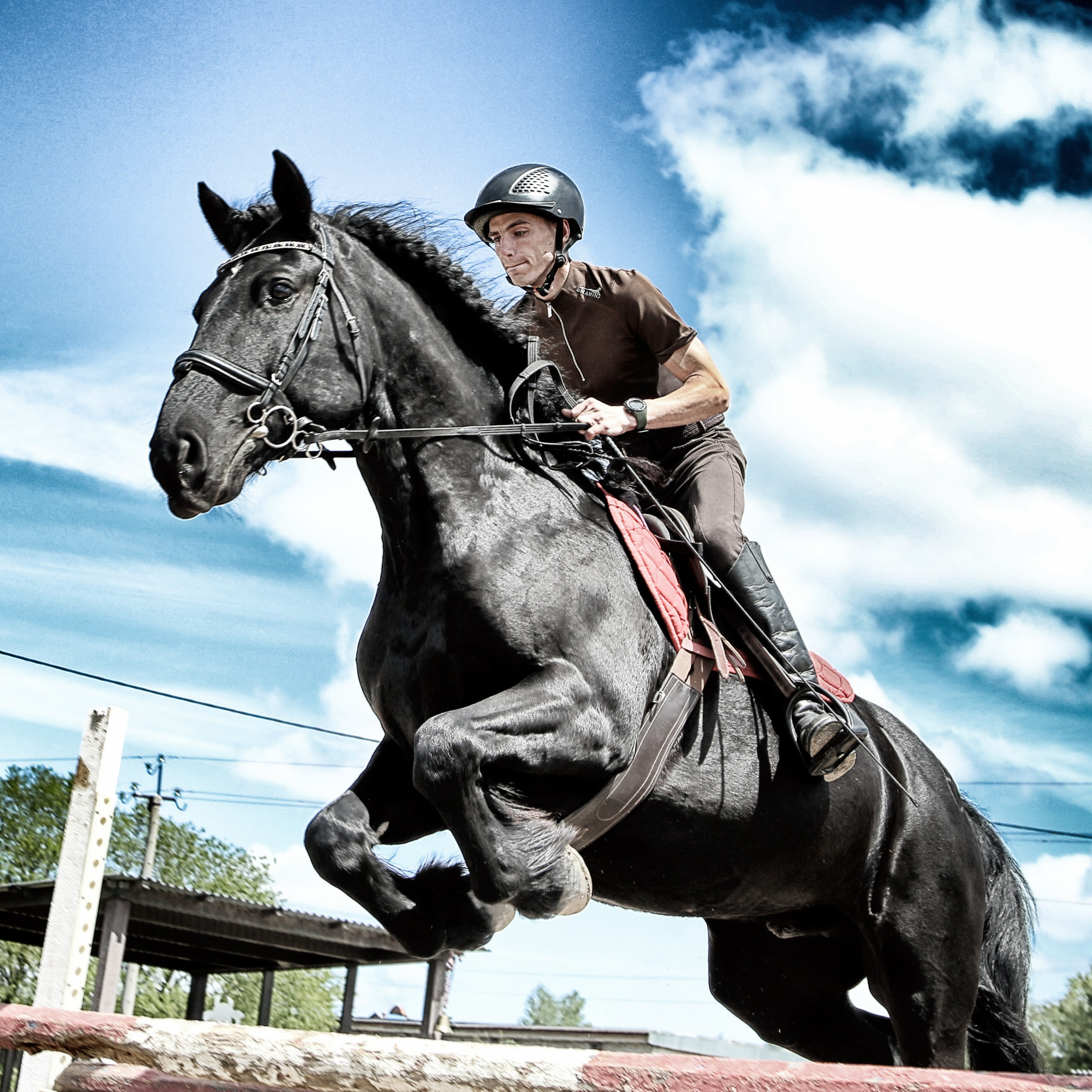 Лошади «Каскад» и «Брилиант». Алиса Томшина — Фотограф