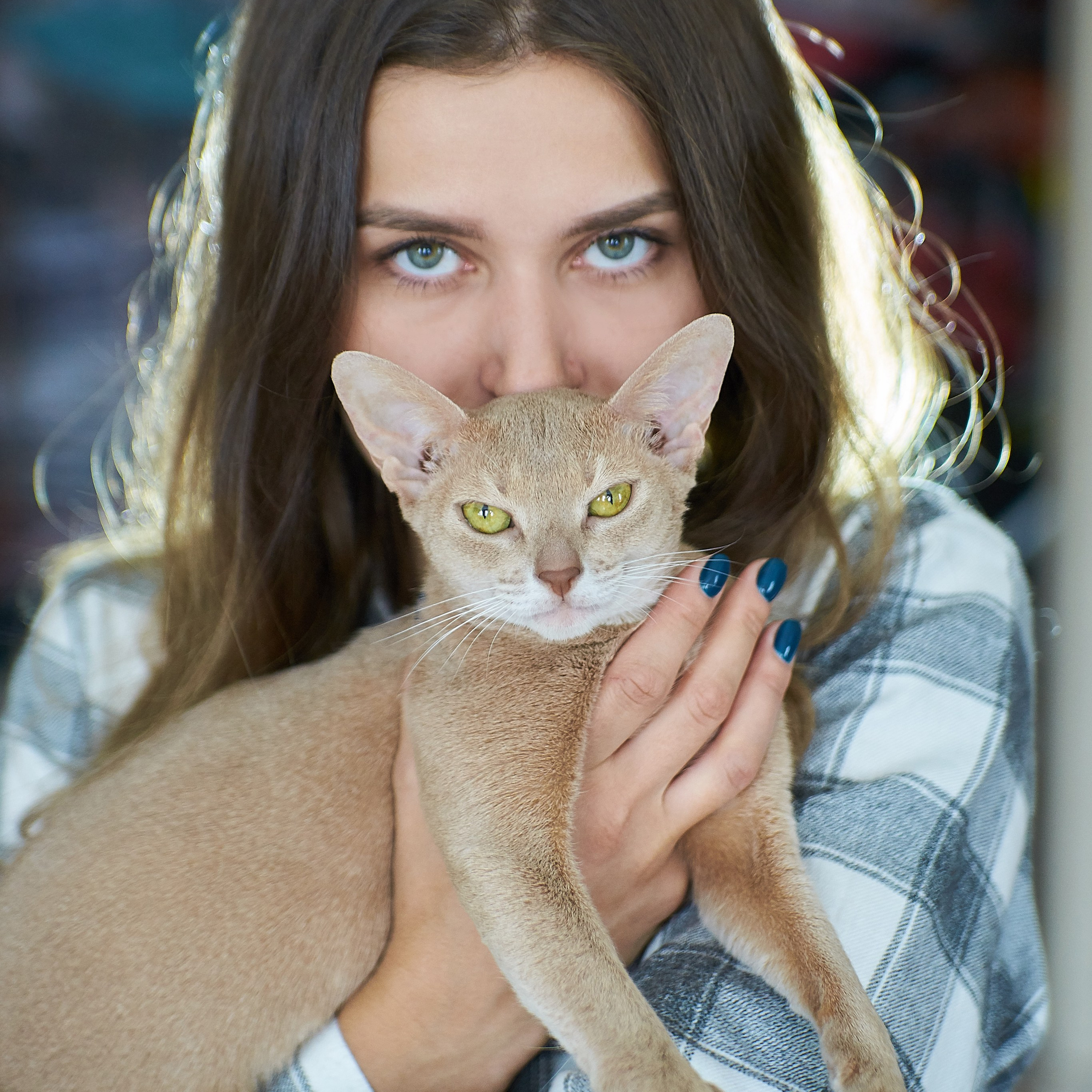 Наташа и котики