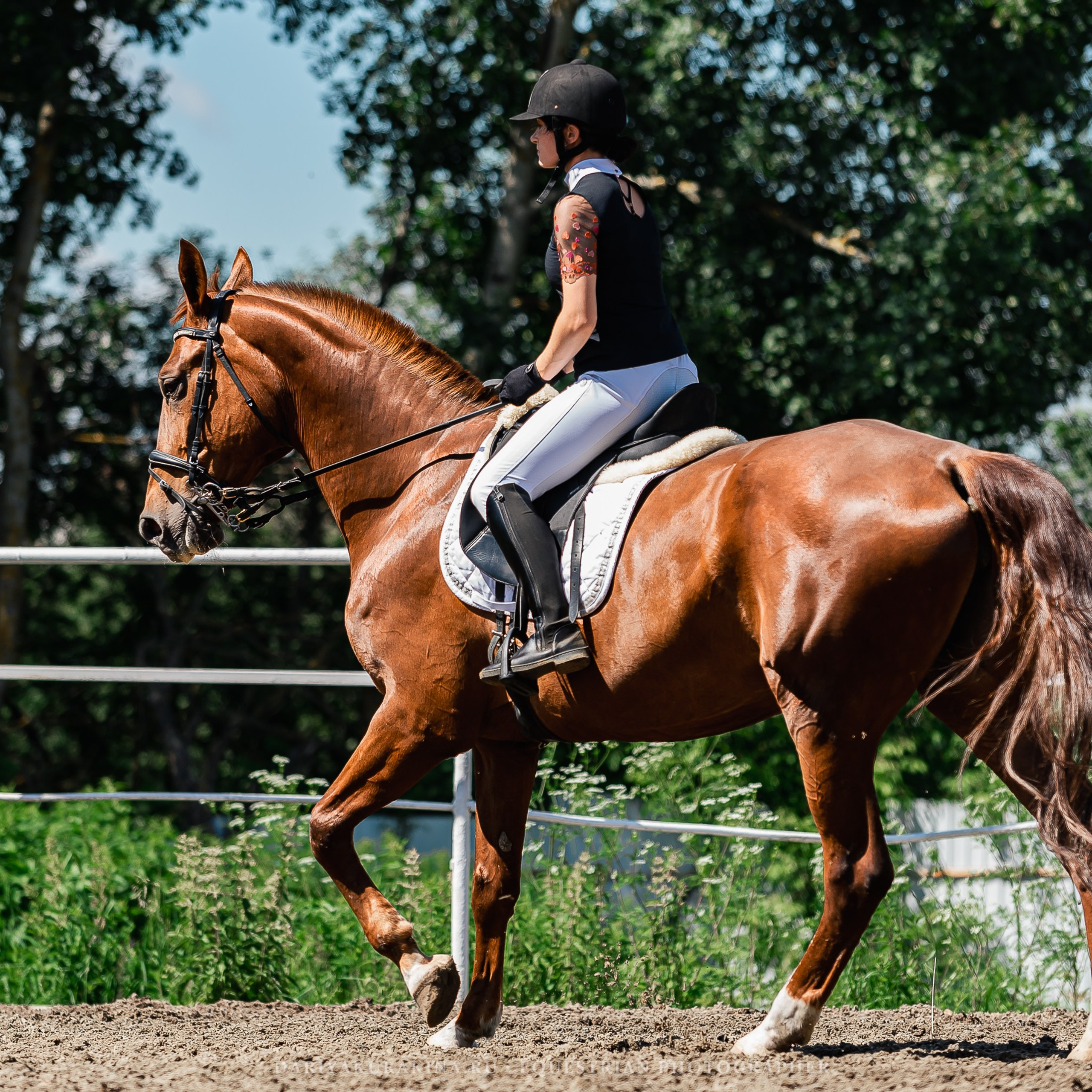 Отзывы. Конный фотограф Куракина Дарья • Фотосессии с лошадьми