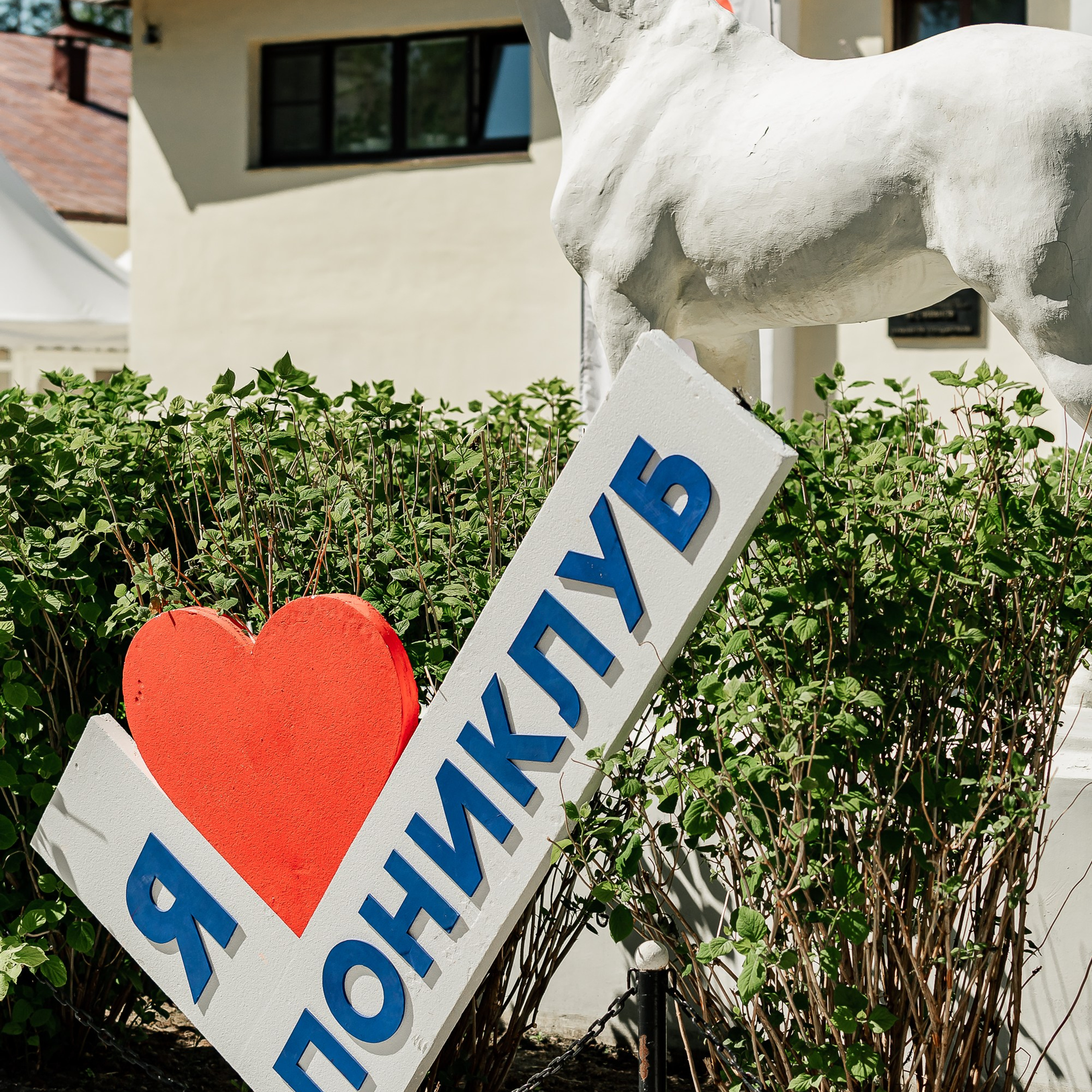 #ПОНИФОРУМ 2024