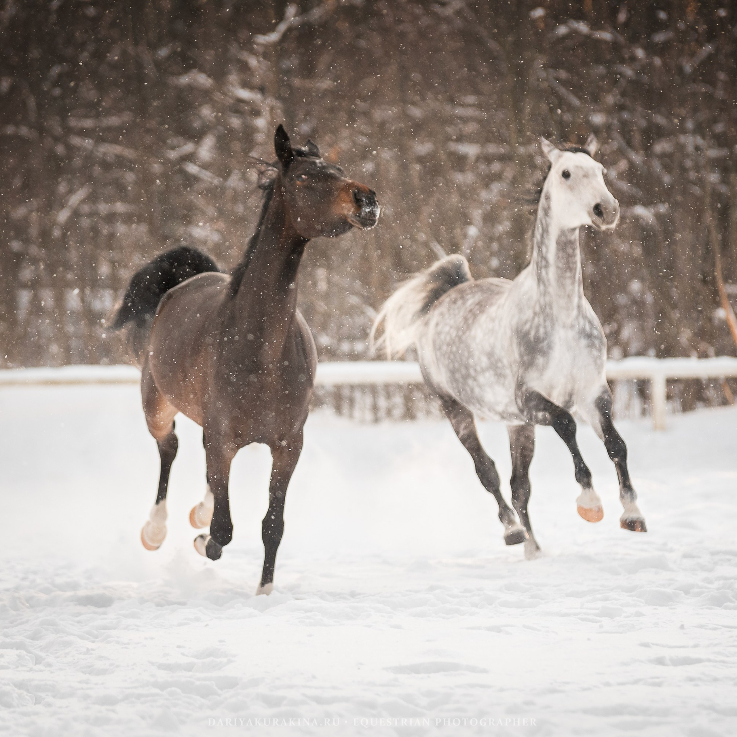 Ловеласка и Клистал Лав, «ЮНА»