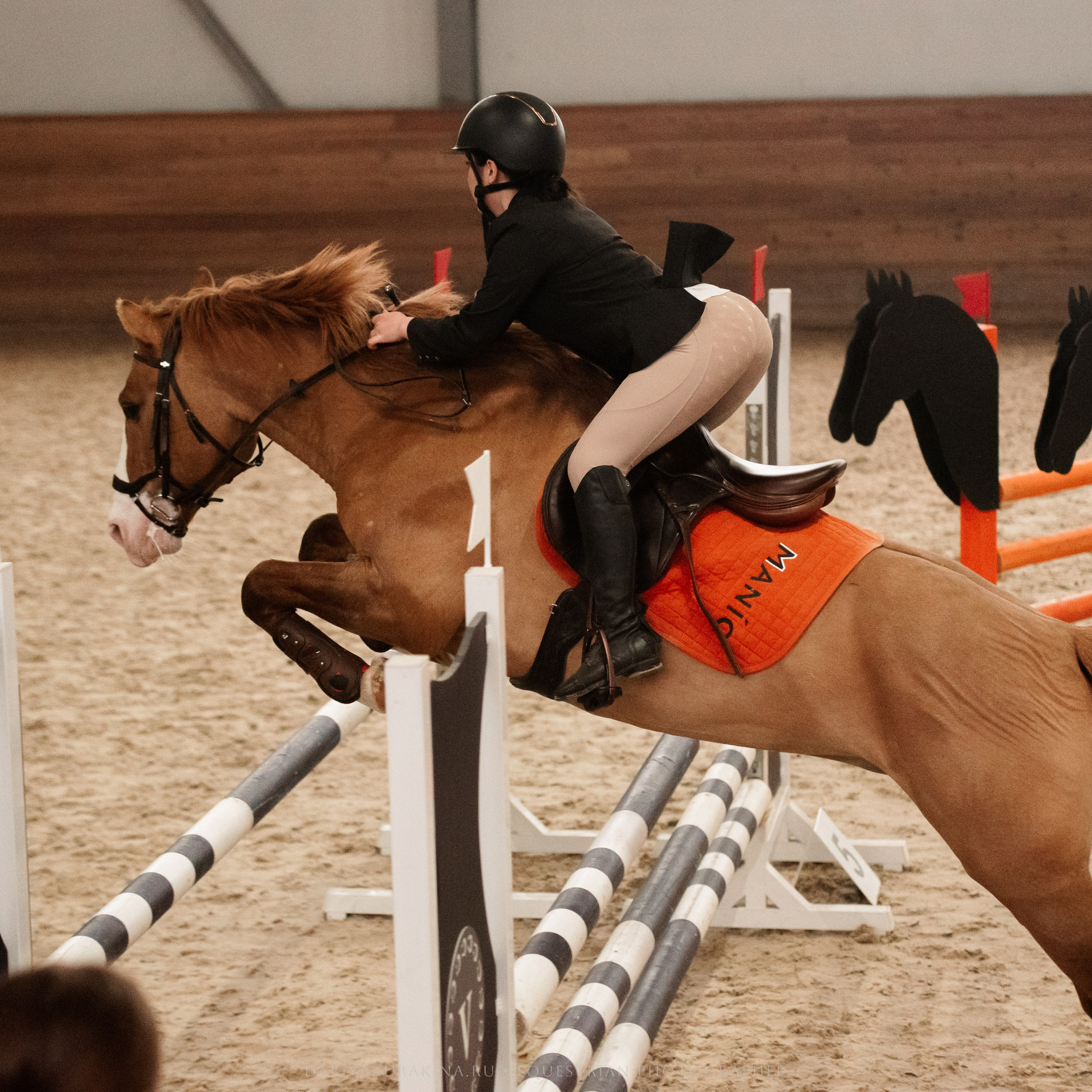 ВЕСЕННИЙ КУБОК МКК «ВОЛЬТ» ПО КОНКУРУ