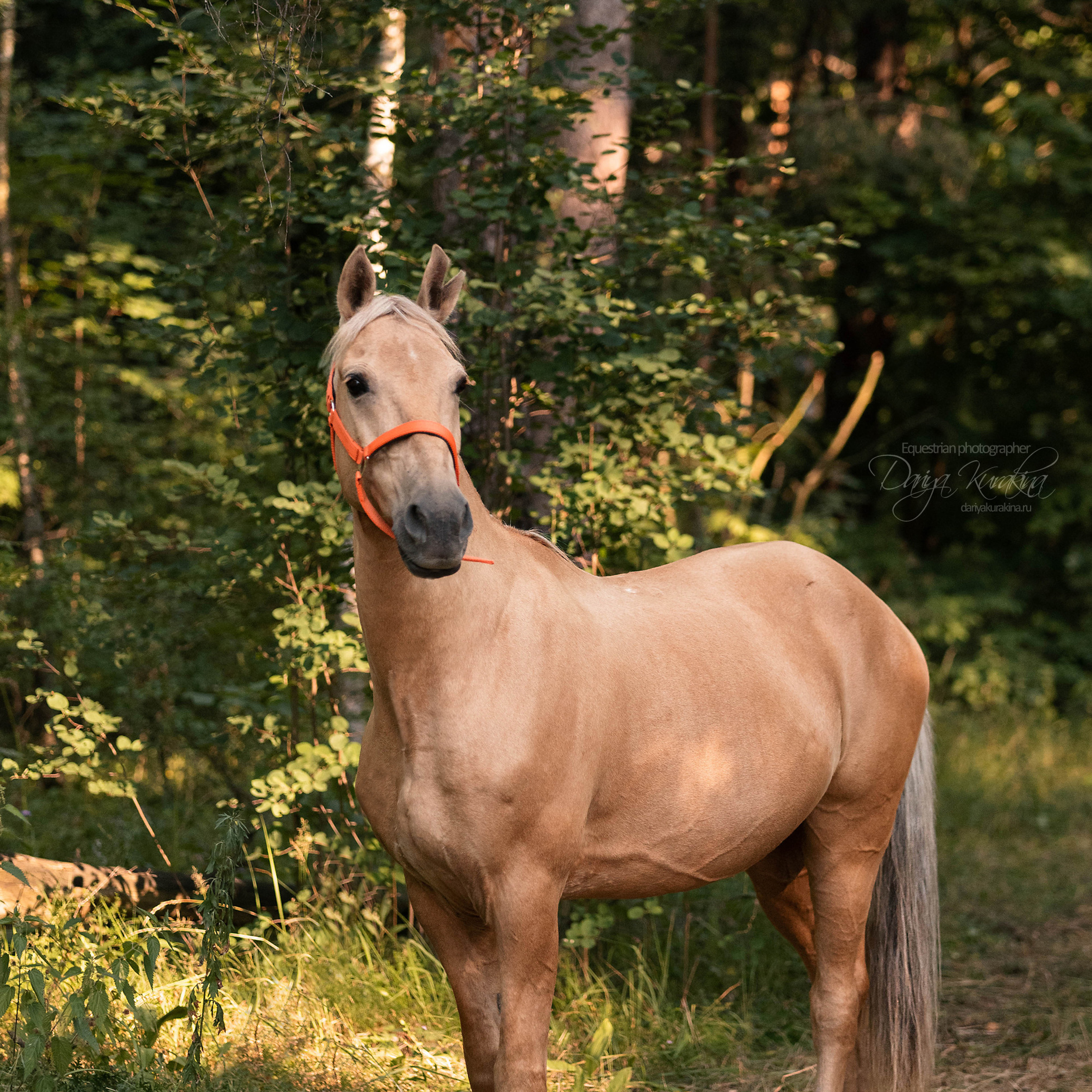 Силя и Лёля