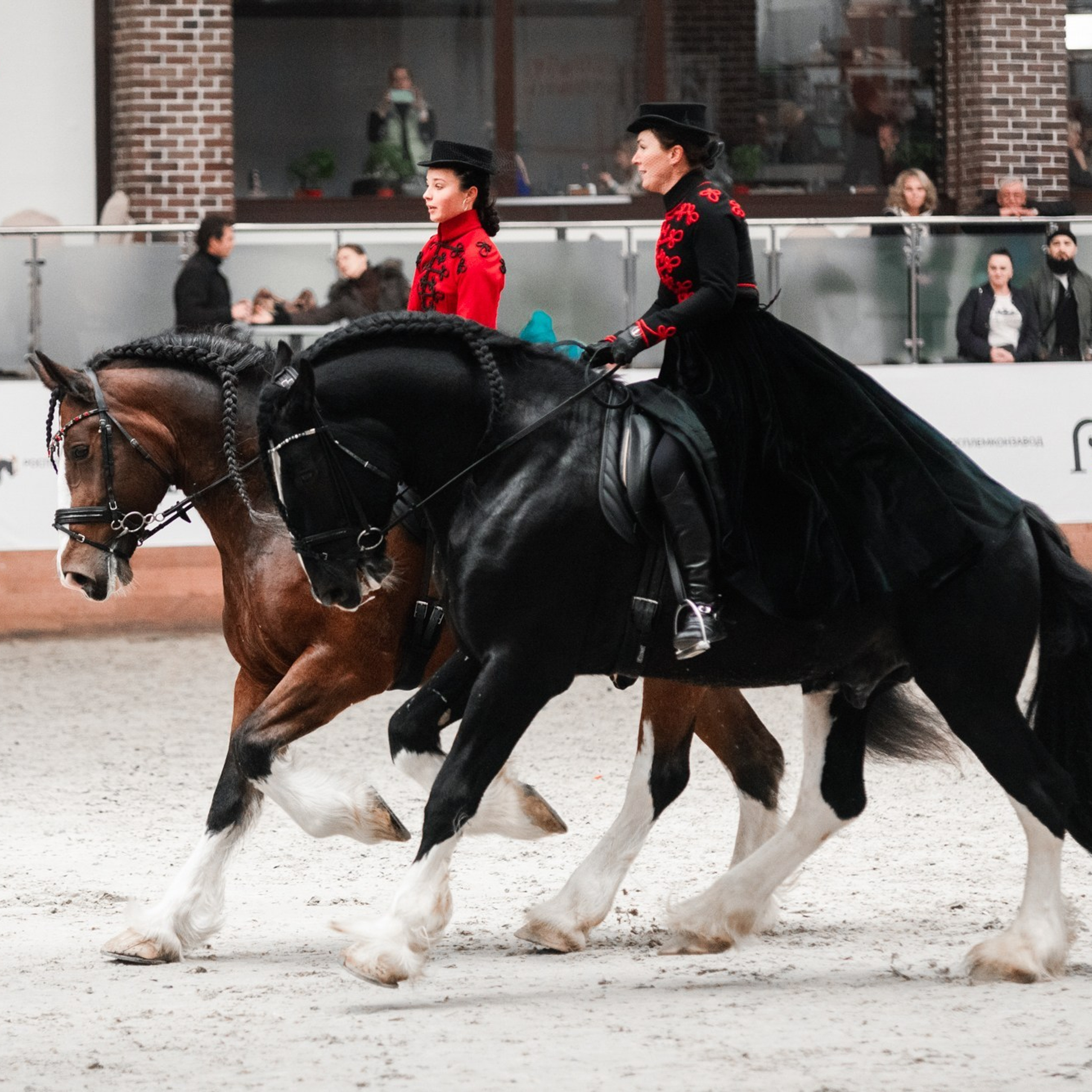 8-я международная выставка Конная Россия