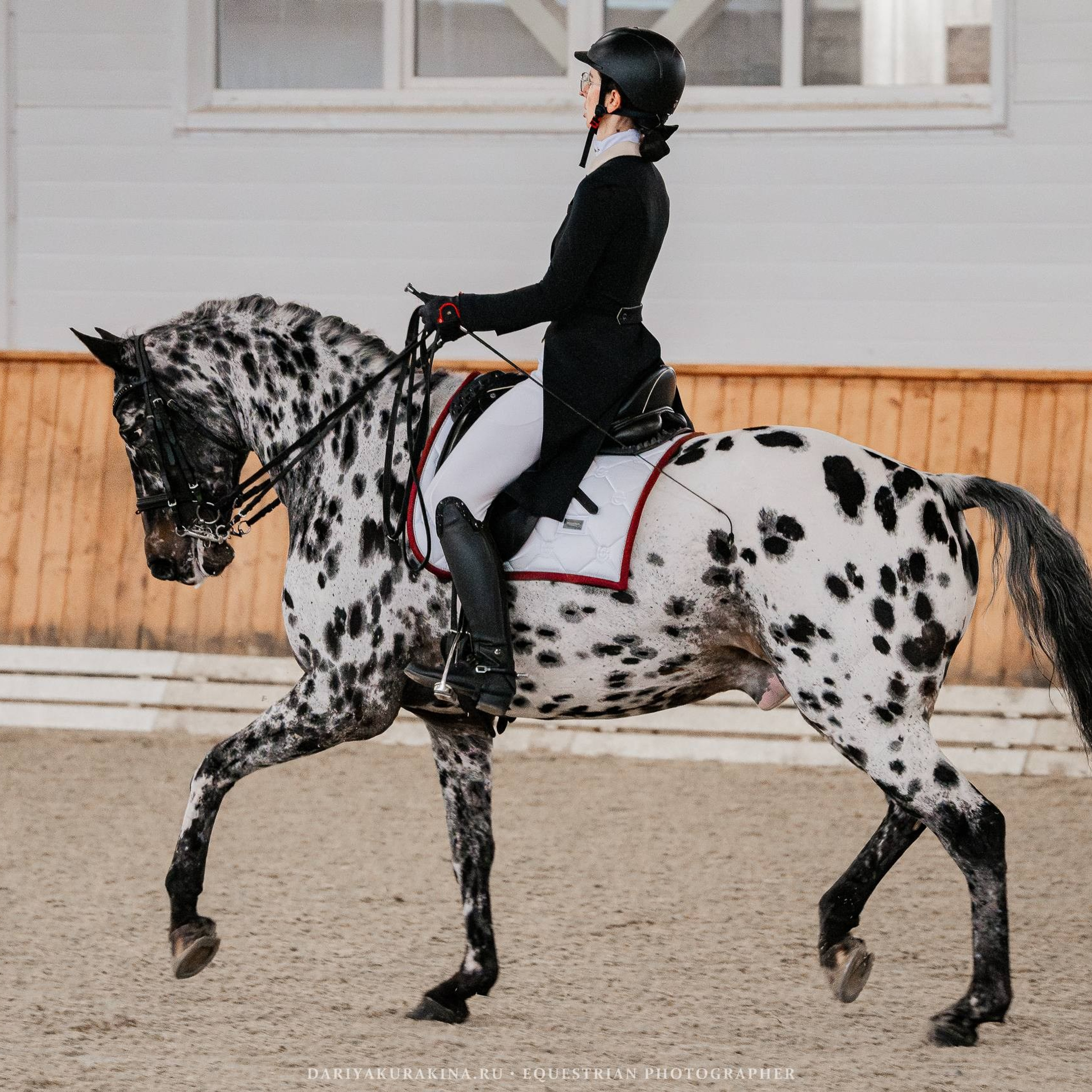 ОСЕННИЙ КУБОК по&nbsp;ВЫЕЗДКЕ в&nbsp;КСК «КОНКОРД»