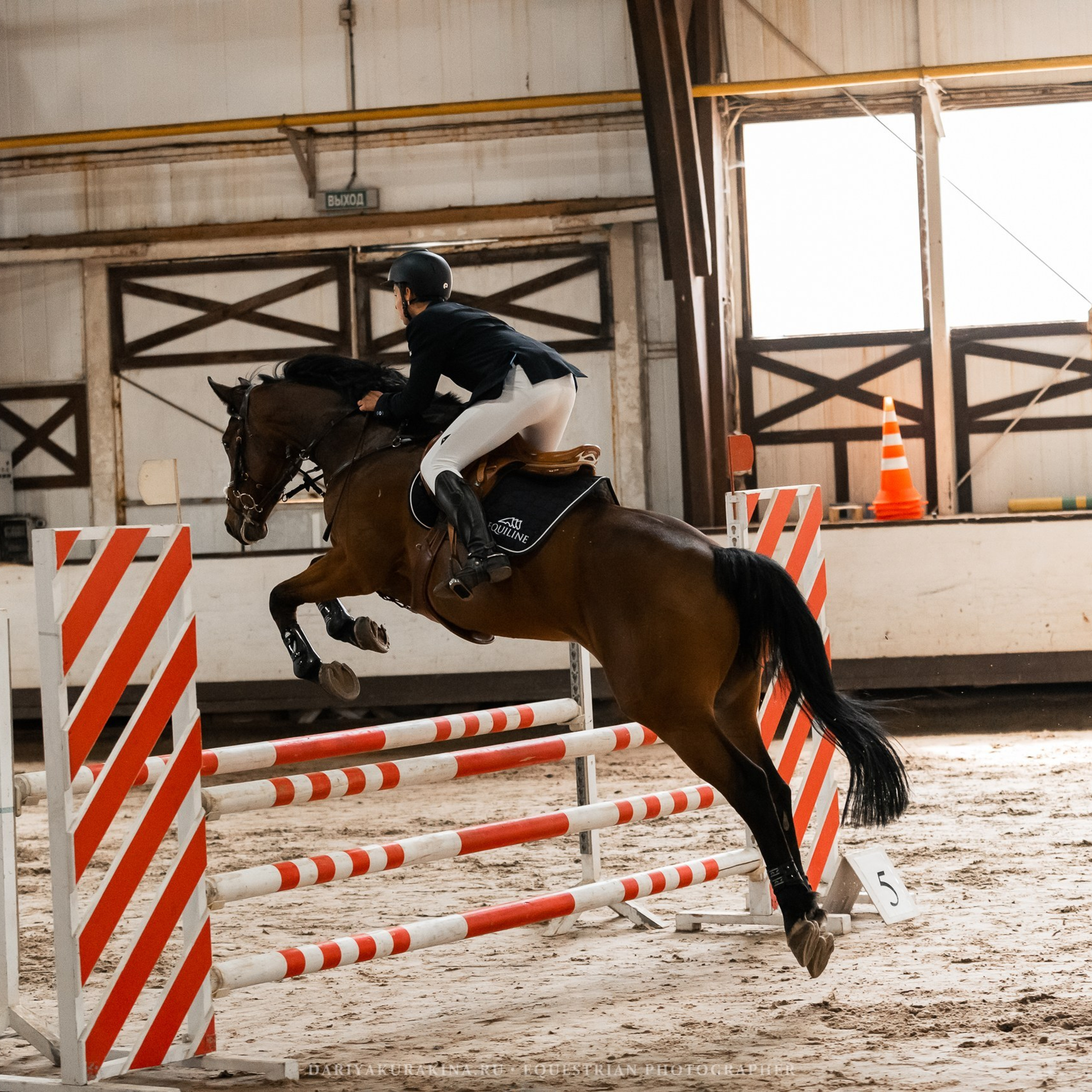 Отзывы. Конный фотограф Куракина Дарья • Фотосессии с лошадьми