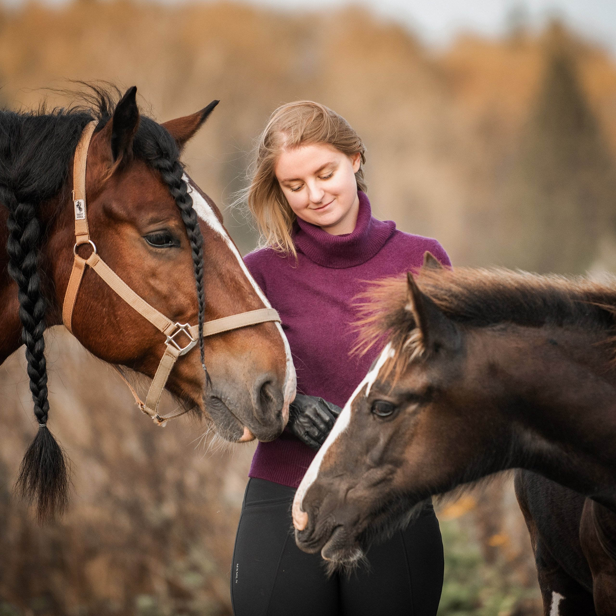 Настасьин табун