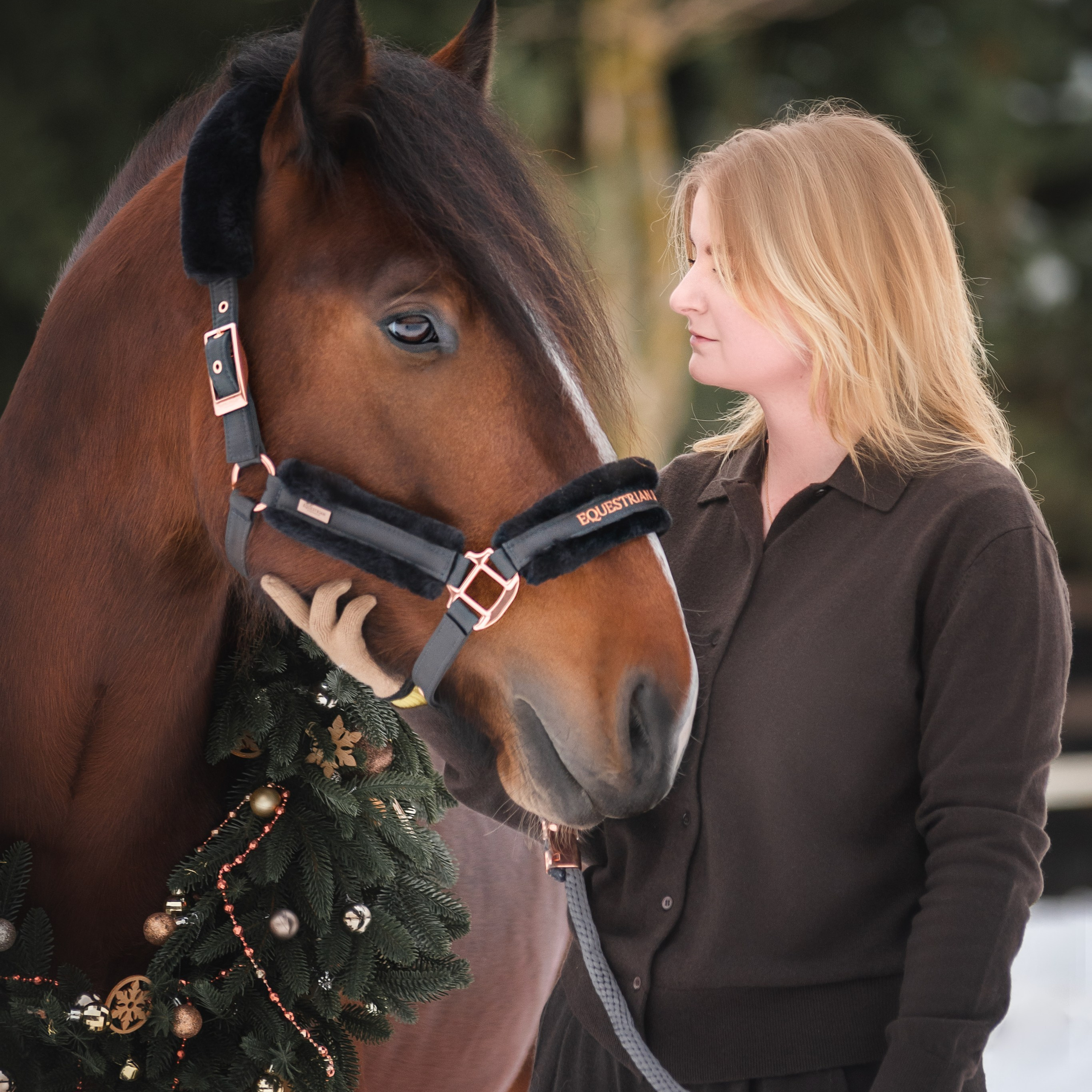 Новогодний Волконский