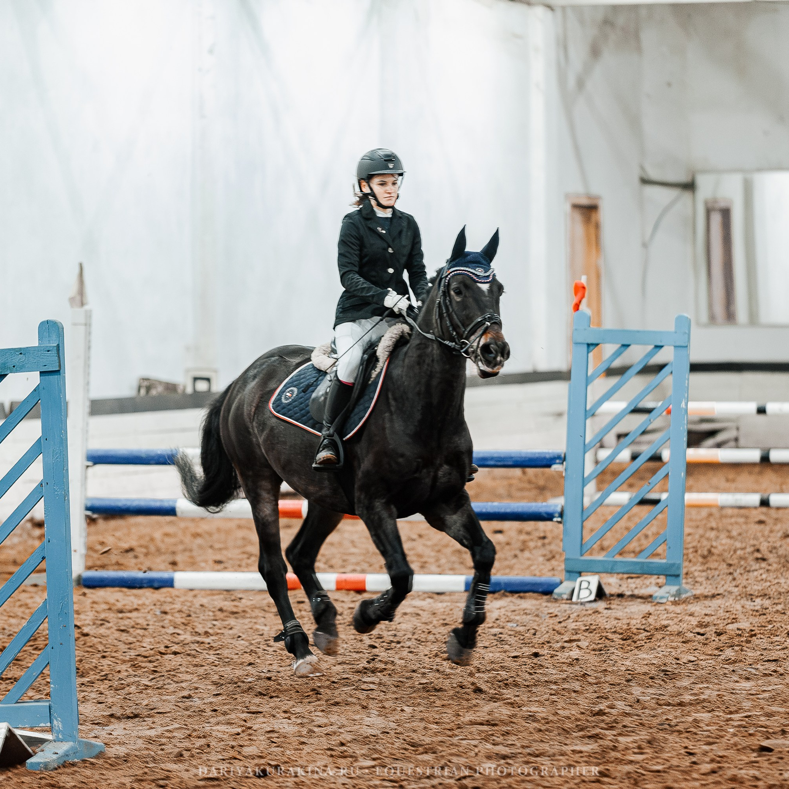 Отзывы. Конный фотограф Куракина Дарья • Фотосессии с лошадьми