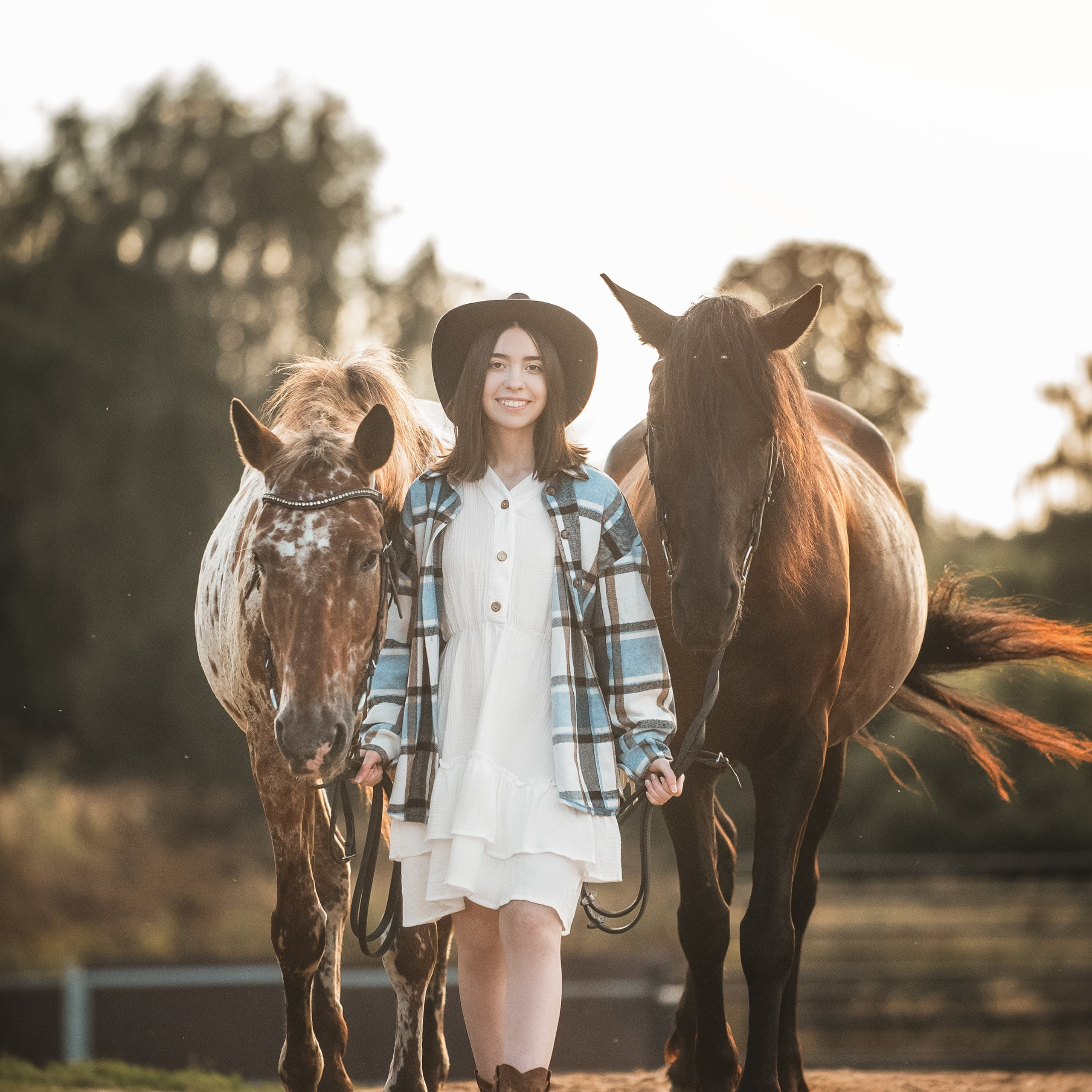 Алиса — Аванпост